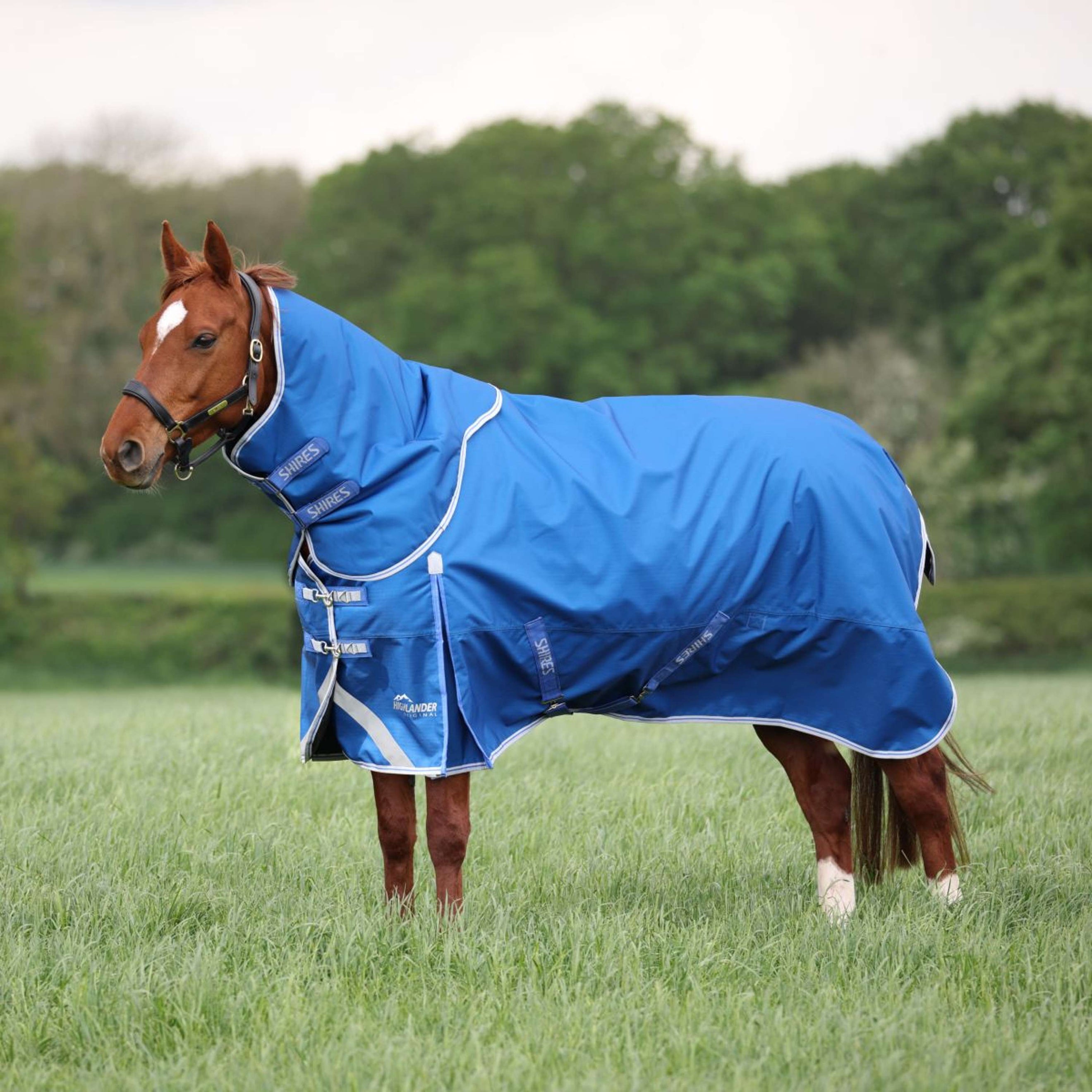 Highlander Original by Shires Winter Rug Turnout 200g with Hood Blue Highlander Original by Shires Winter Rug Turnout 200g with Hood Blue