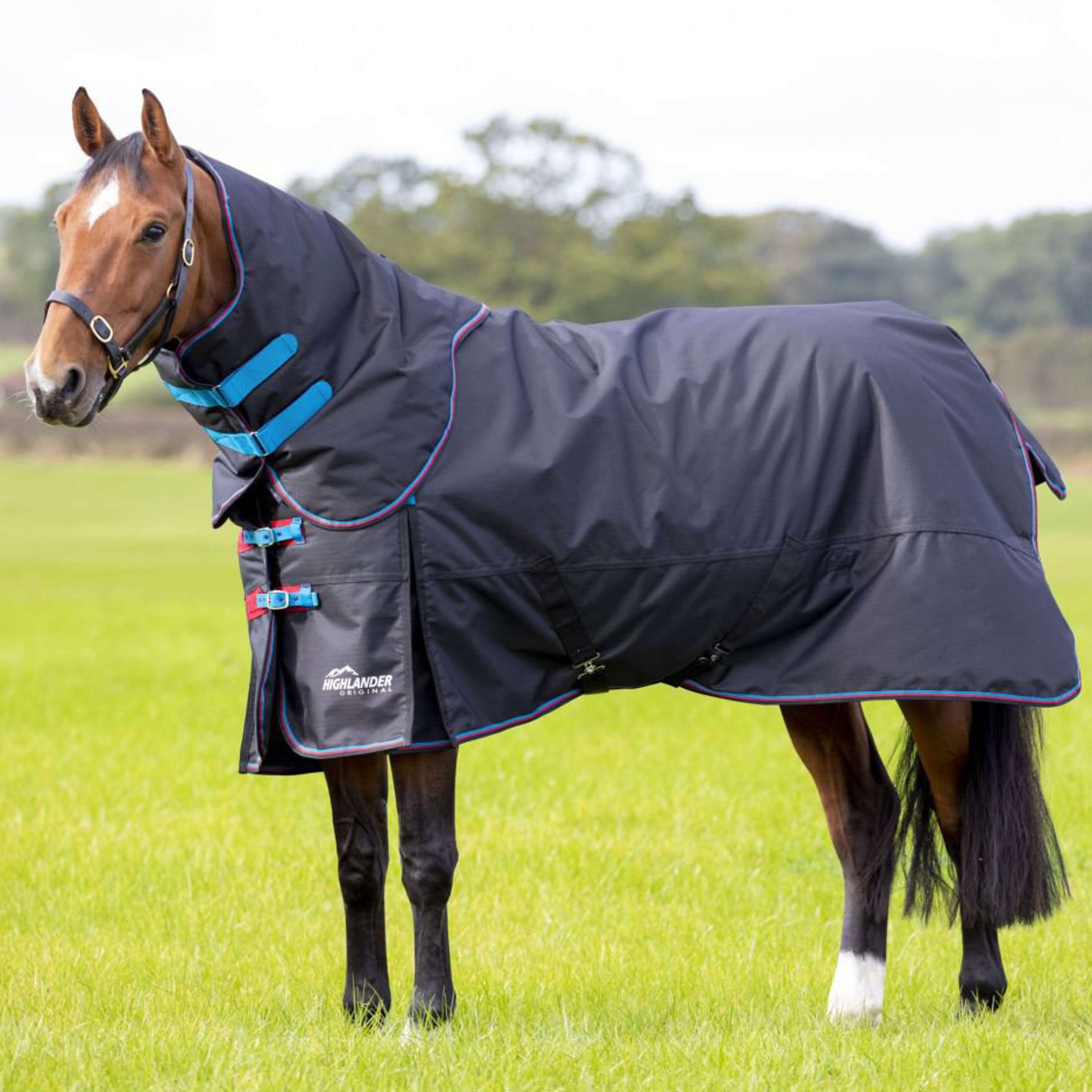 Highlander Original Winter Rug Turnout 200g with Hood Black