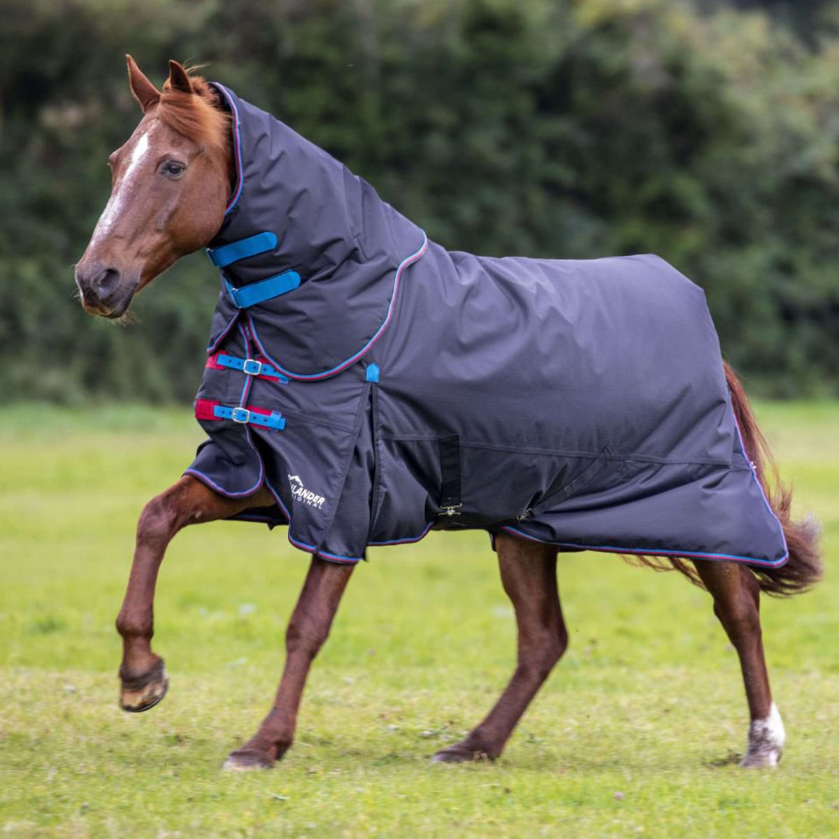 Highlander Original Winter Rug Turnout 200g with Hood Black