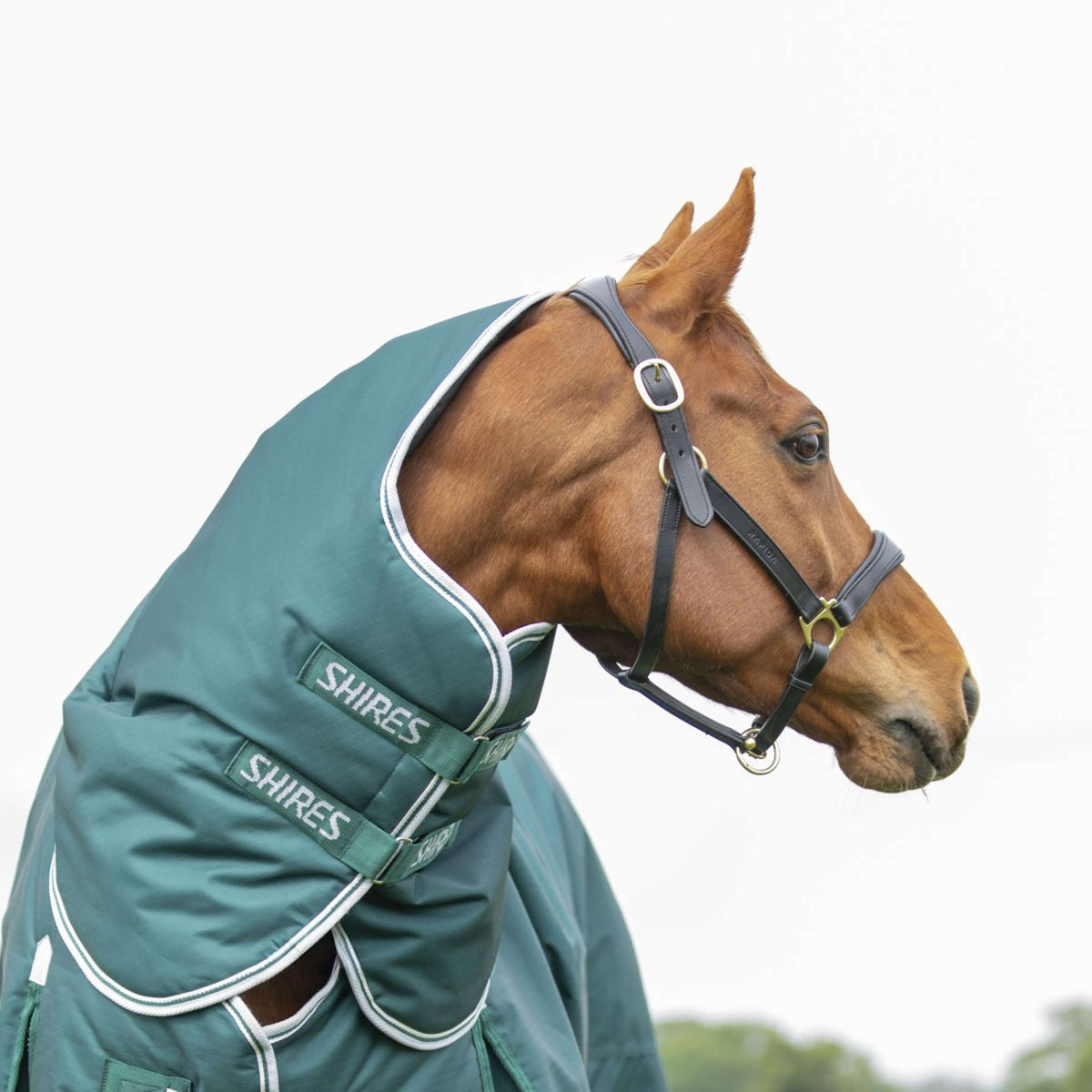 Highlander Original by Shires Winter Rug Turnout 300g with Hood Green