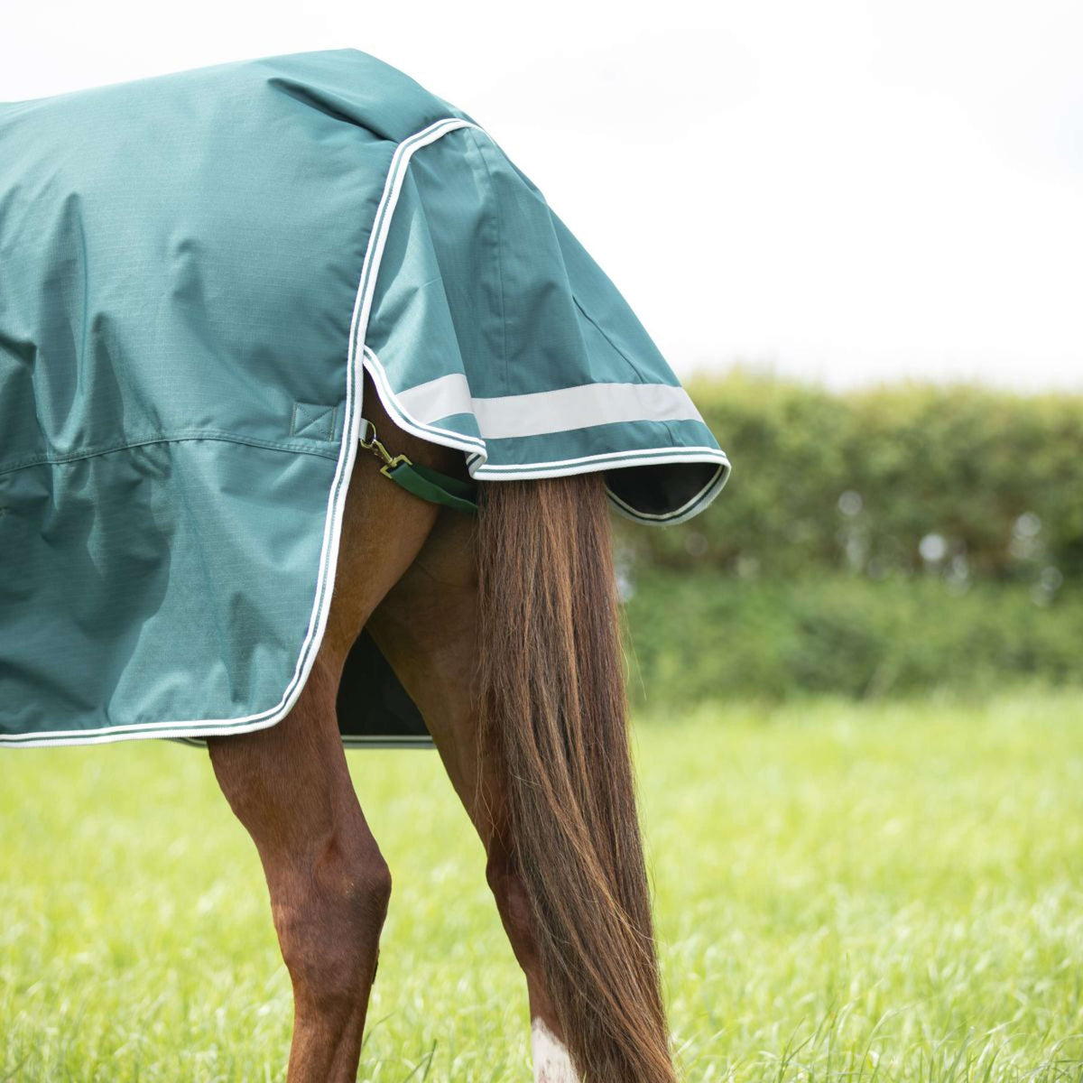 Highlander Original by Shires Winter Rug Turnout 300g with Hood Green