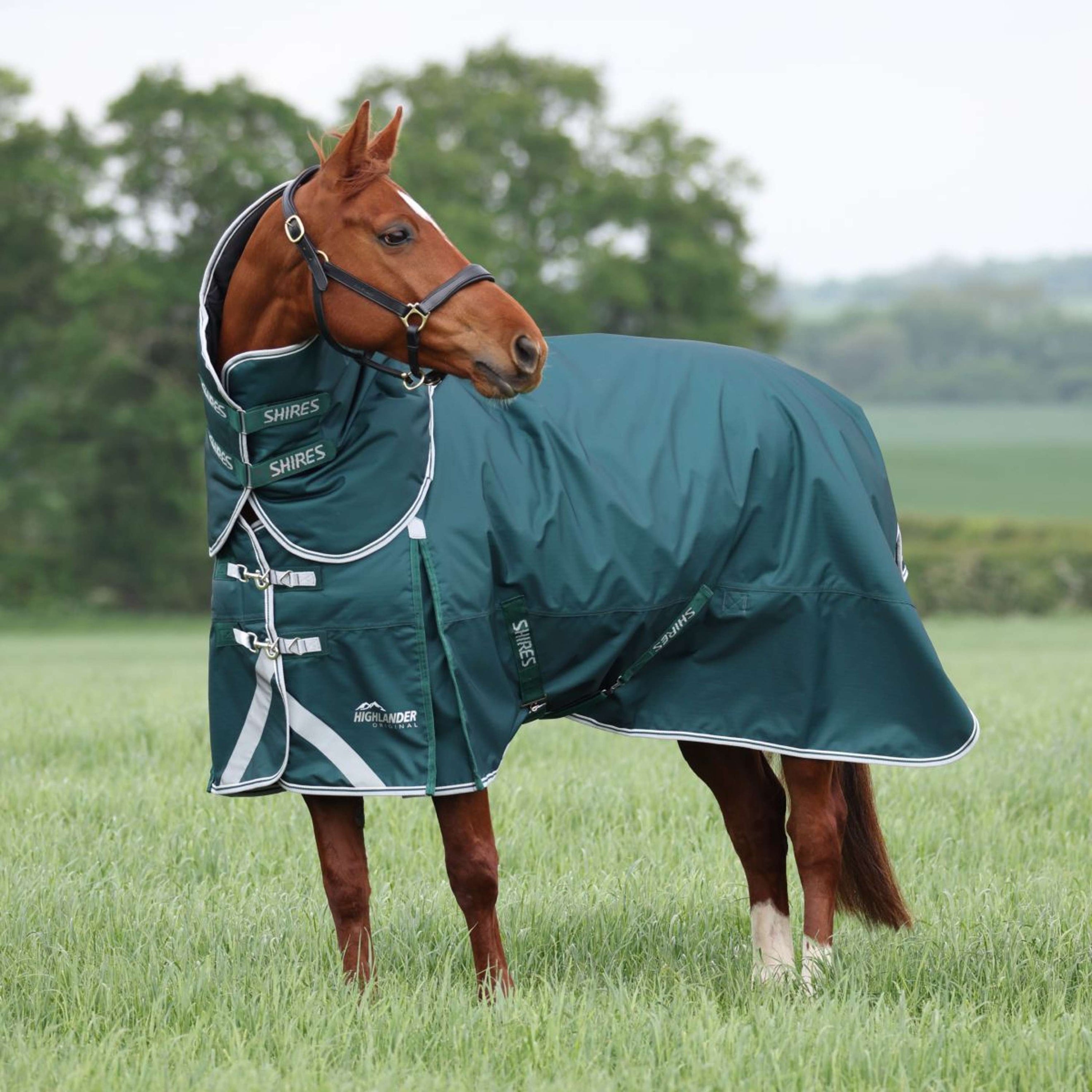 Highlander Original by Shires Winter Rug Turnout 300g with Hood Green