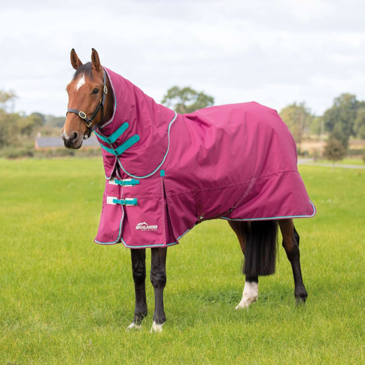 Highlander Original Winter Rug Turnout 300g with Hood Raspberry