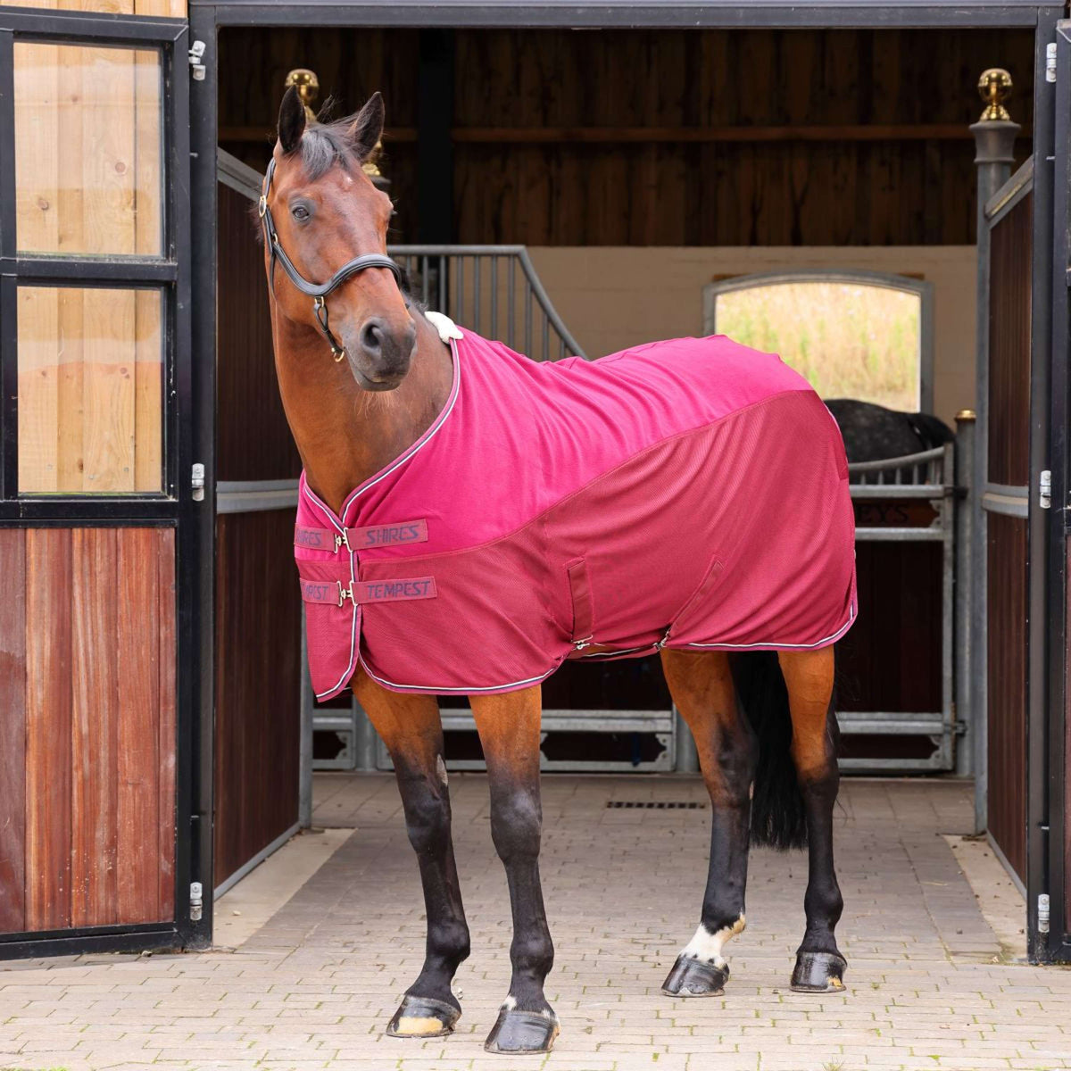 Tempest Original by Shires Sweat Rug Original Fleece/Mesh Maroon