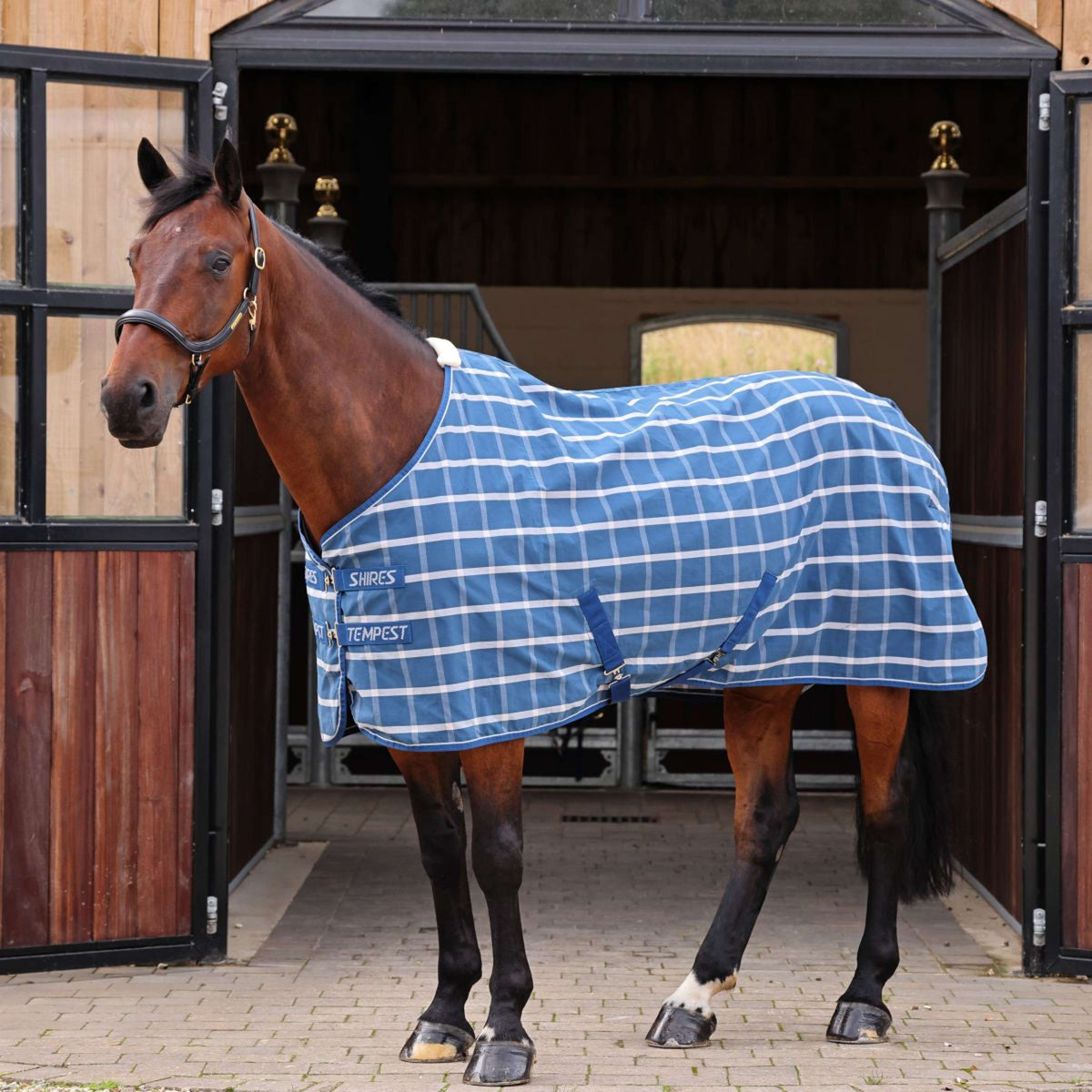 Tempest Original by Shires Stable Rug Original Stable Teal