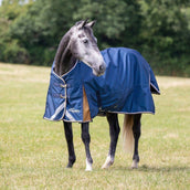 Highlander Plus Turnout Rug Lite Navy