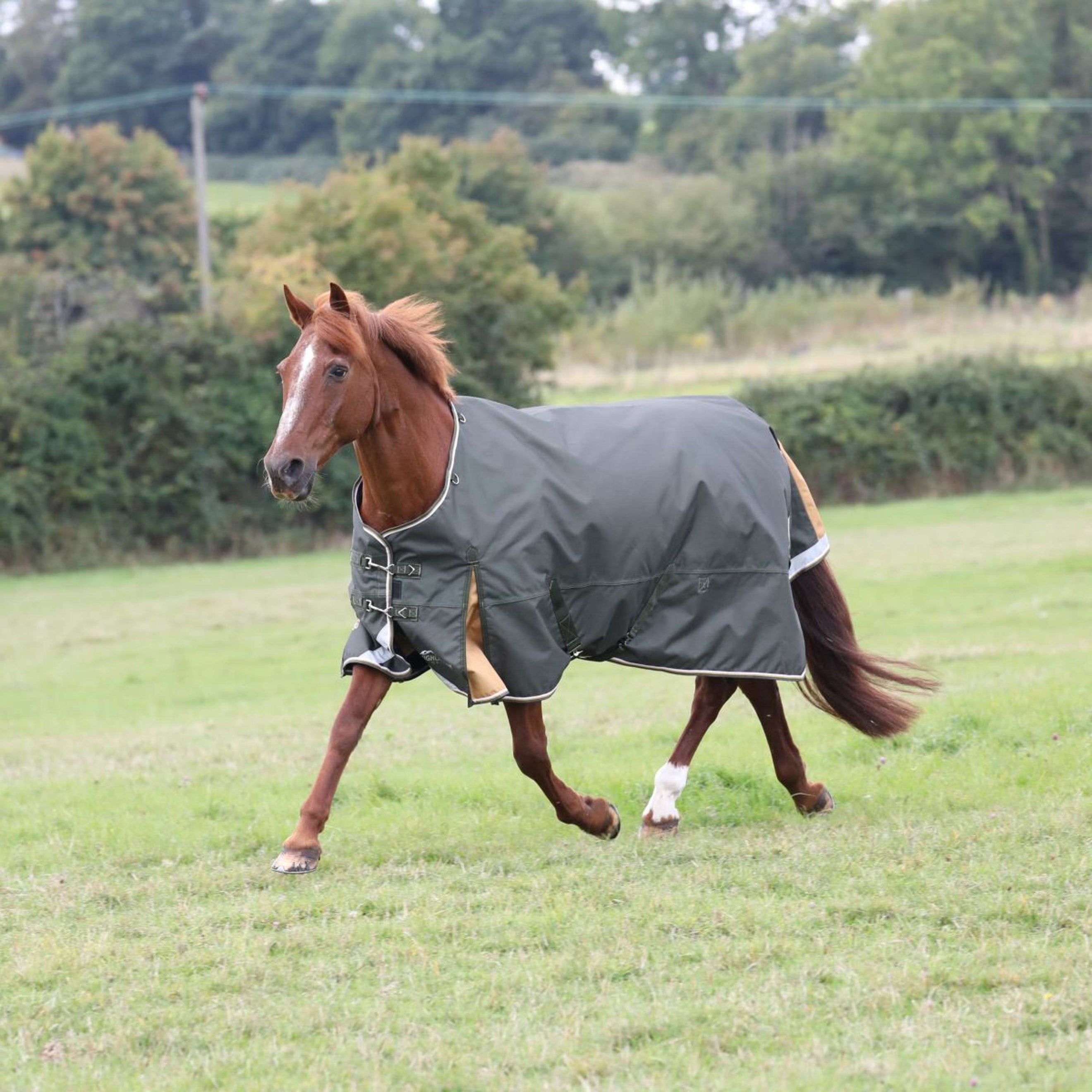 Highlander Plus Turnout Rug 50g Green