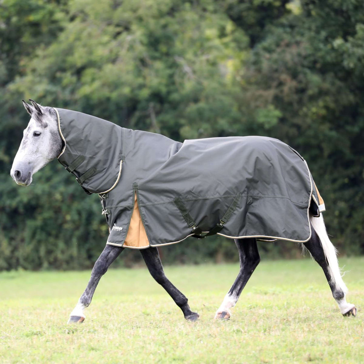 Highlander Plus Winter Rug Combo 50g Green