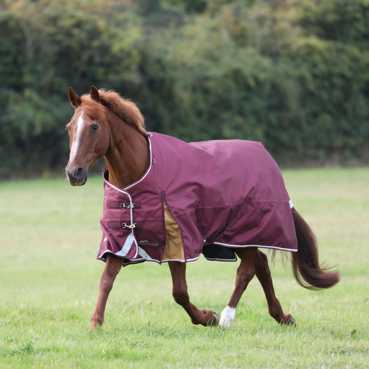 Highlander Plus Turnout Rug 100g Maroon