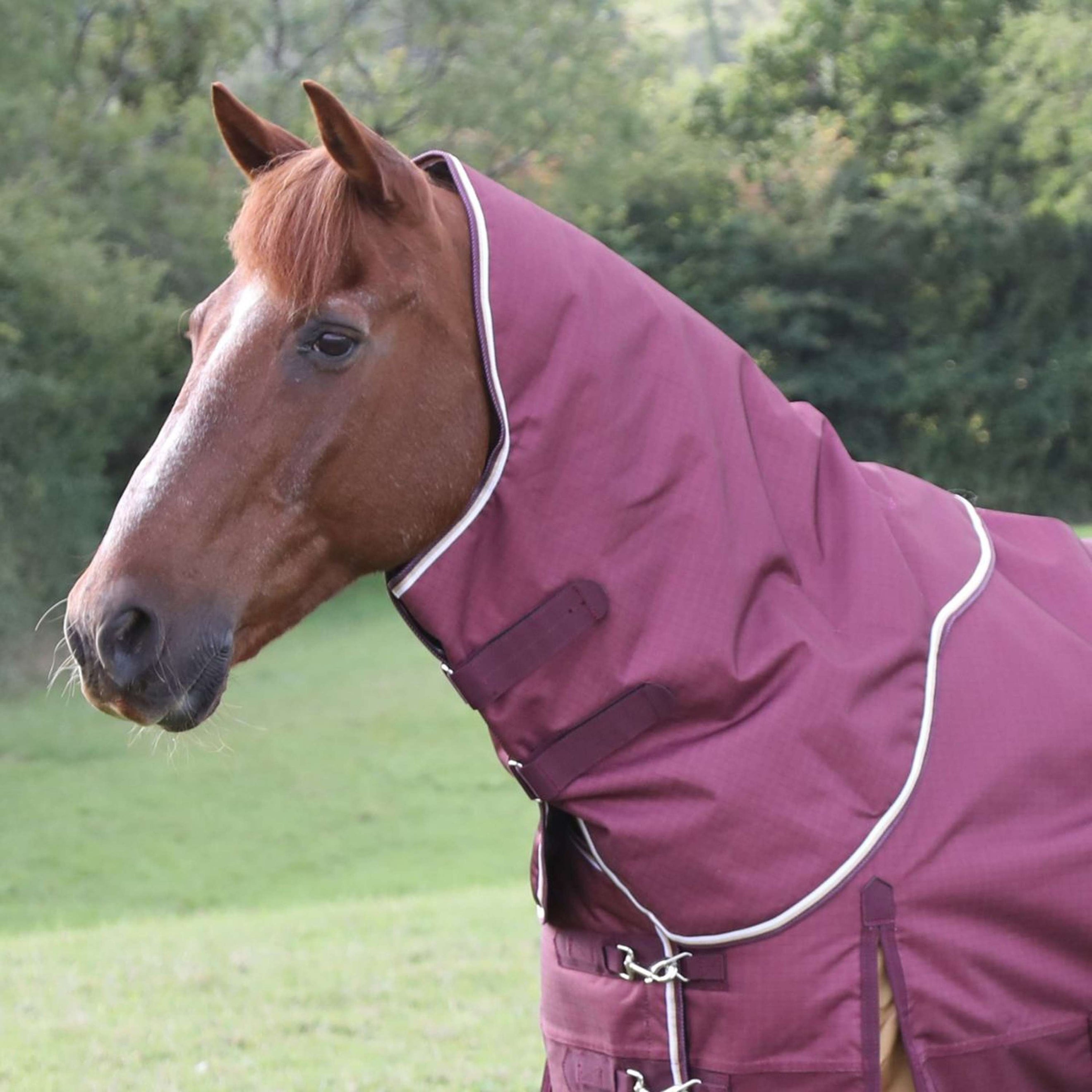 Highlander Plus Neck Cover Turnout 100g Maroon