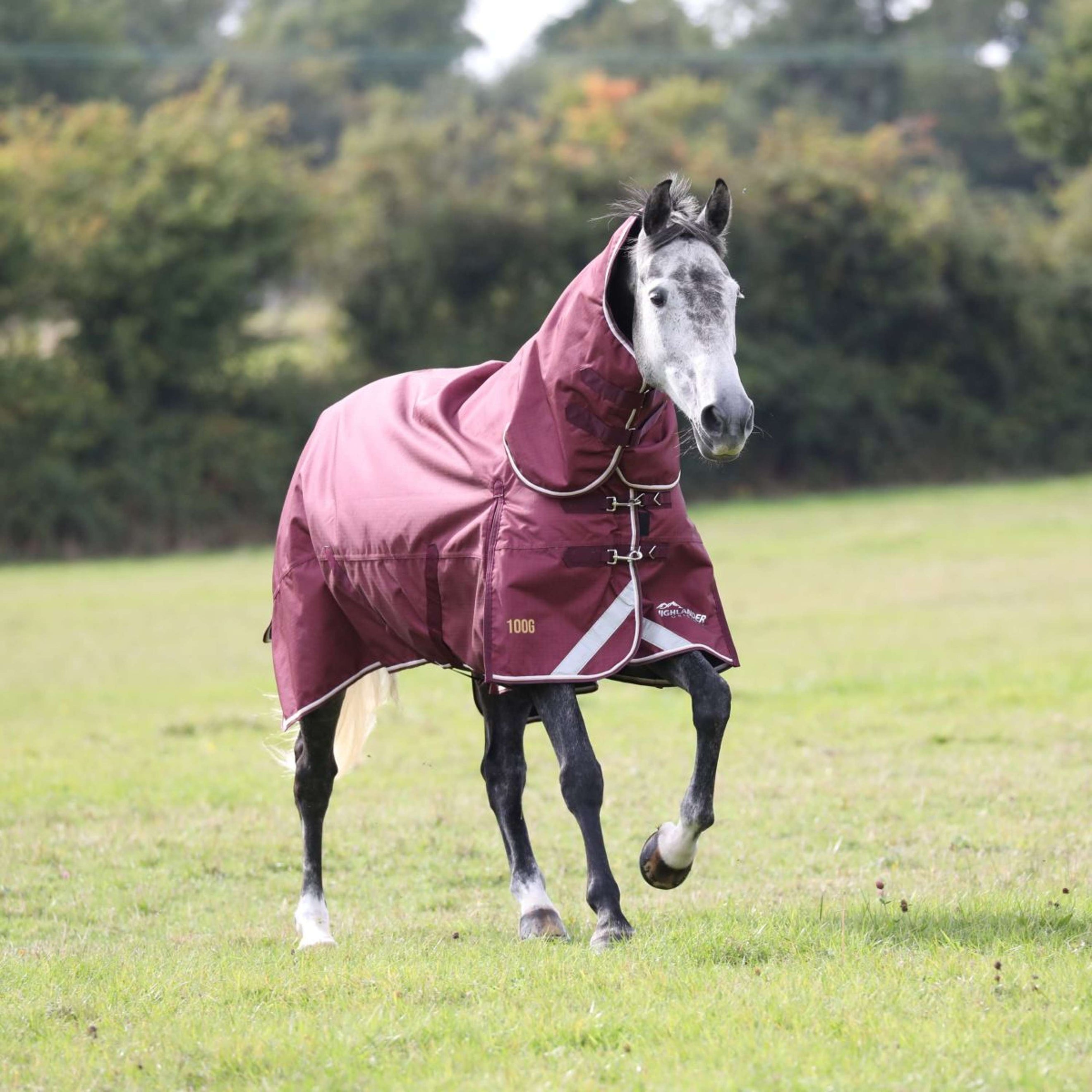 Highlander Plus Turnout Rug Combo 100g Maroon