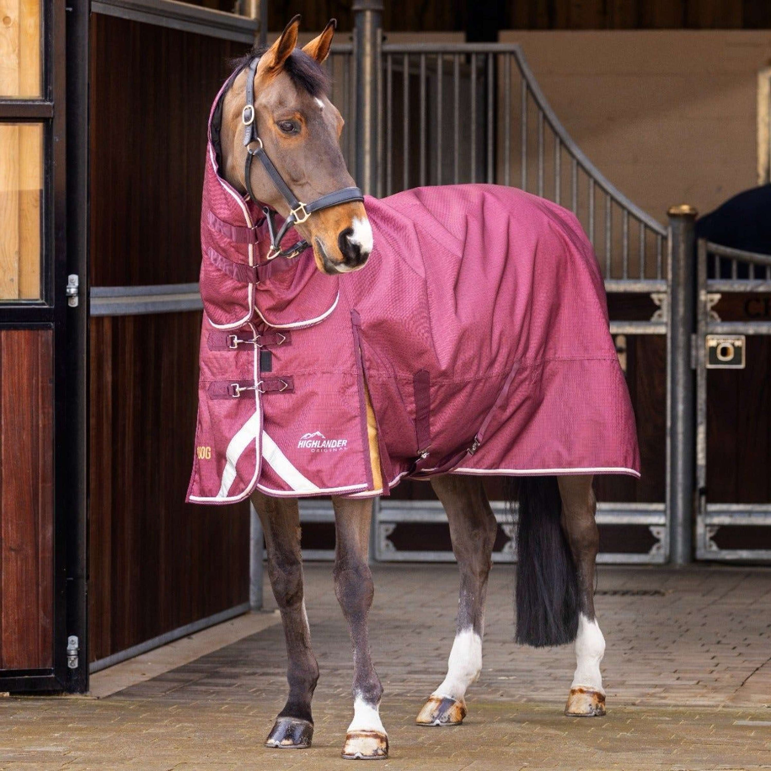 Highlander Plus Turnout Rug Combo 100g Maroon