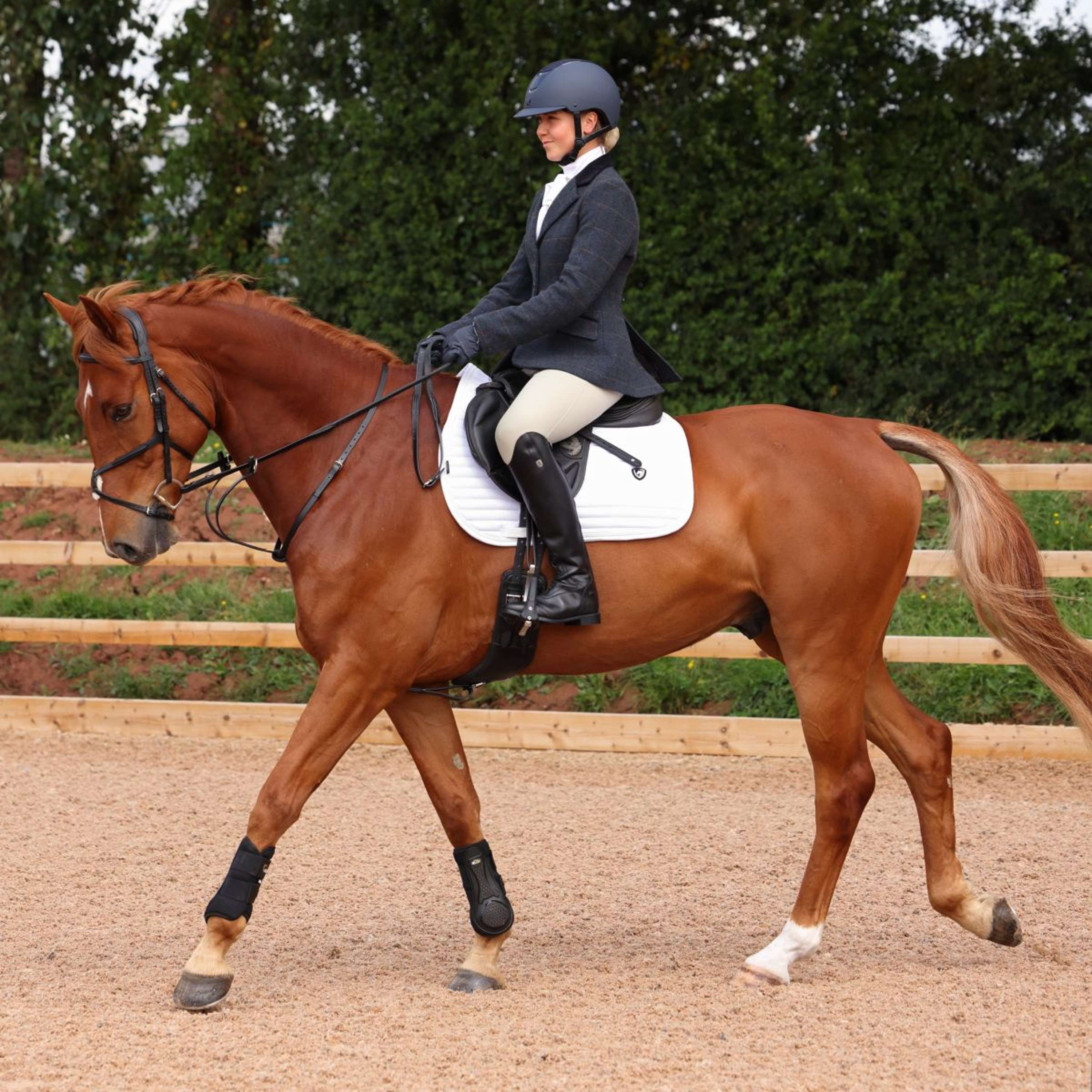 Aubrion by Shires Competition Jacket Saratoga Juniper Navy Check