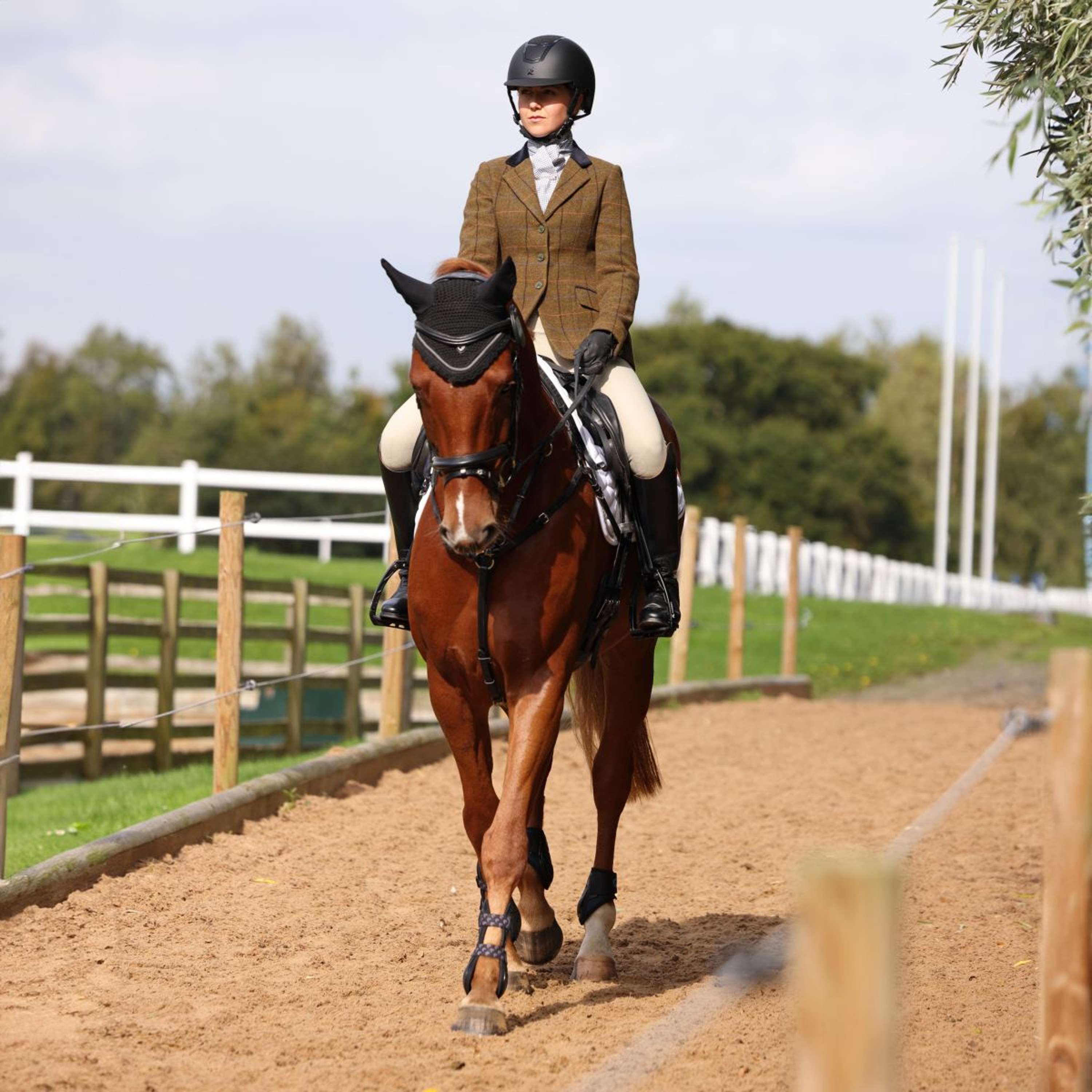 Aubrion by Shires Competition Jacket Saratoga Oak Brown Check