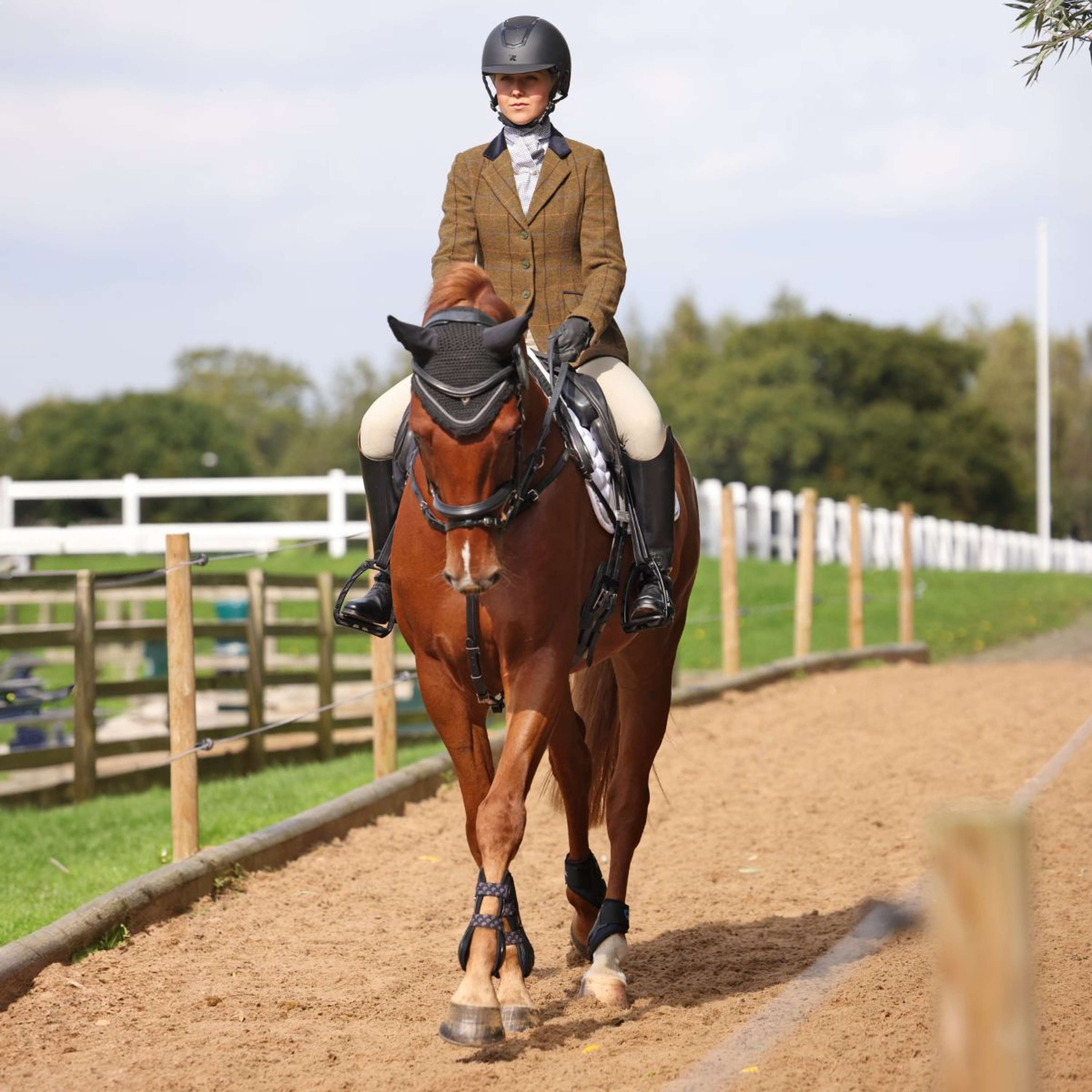 Aubrion by Shires Competition Jacket Saratoga Oak Brown Check
