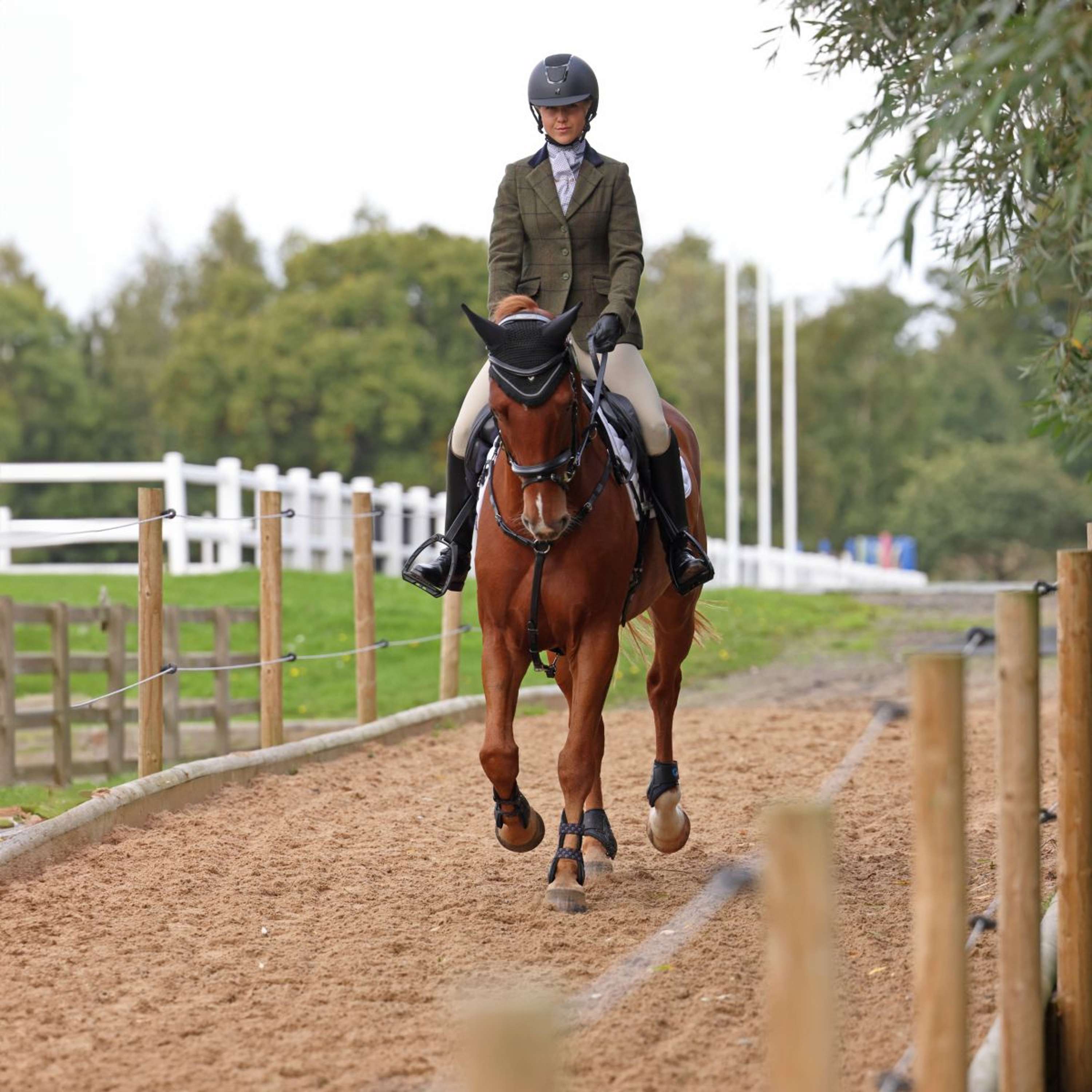 Aubrion by Shires Competition Jacket Saratoga Spruce Green Check