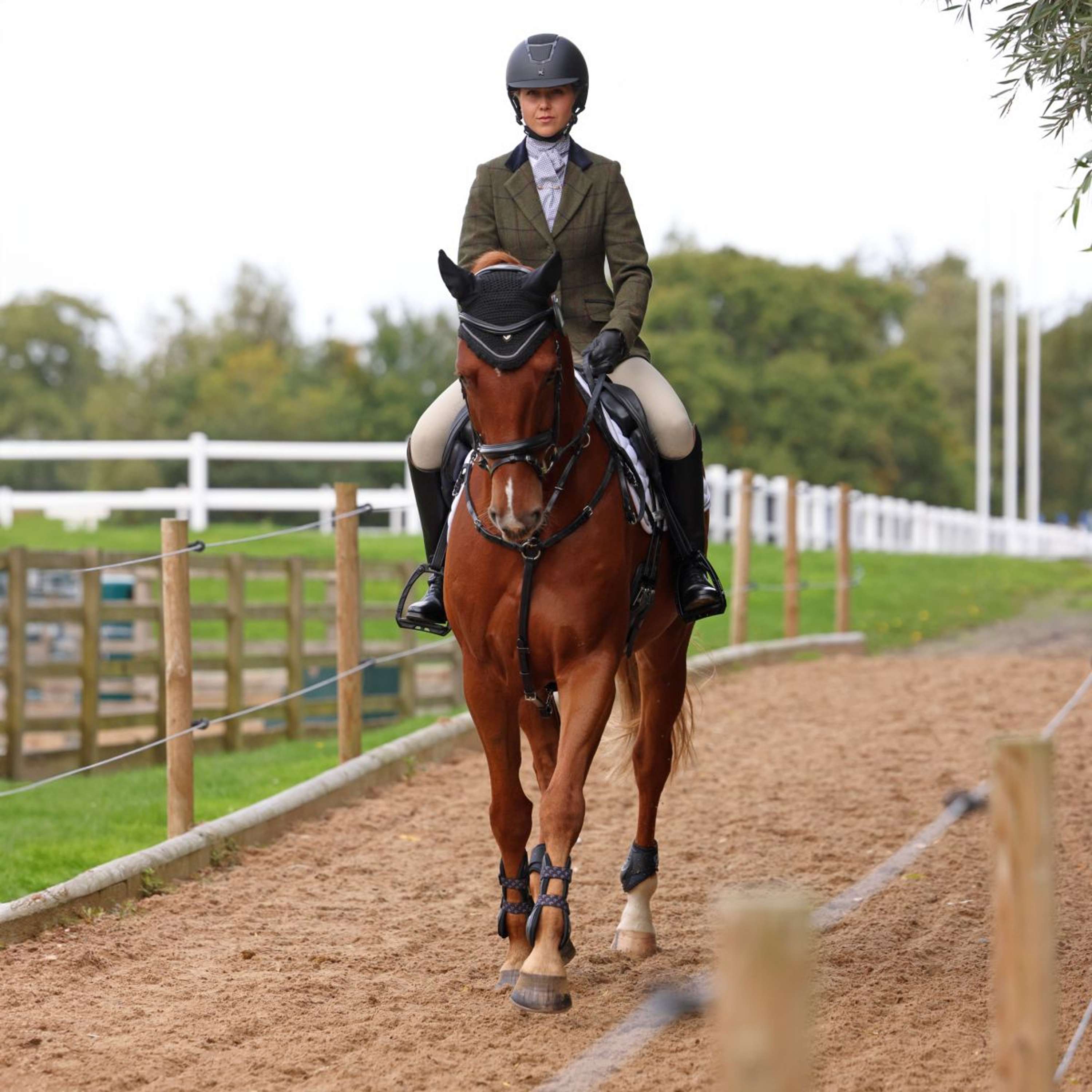 Aubrion by Shires Competition Jacket Saratoga Spruce Green Check