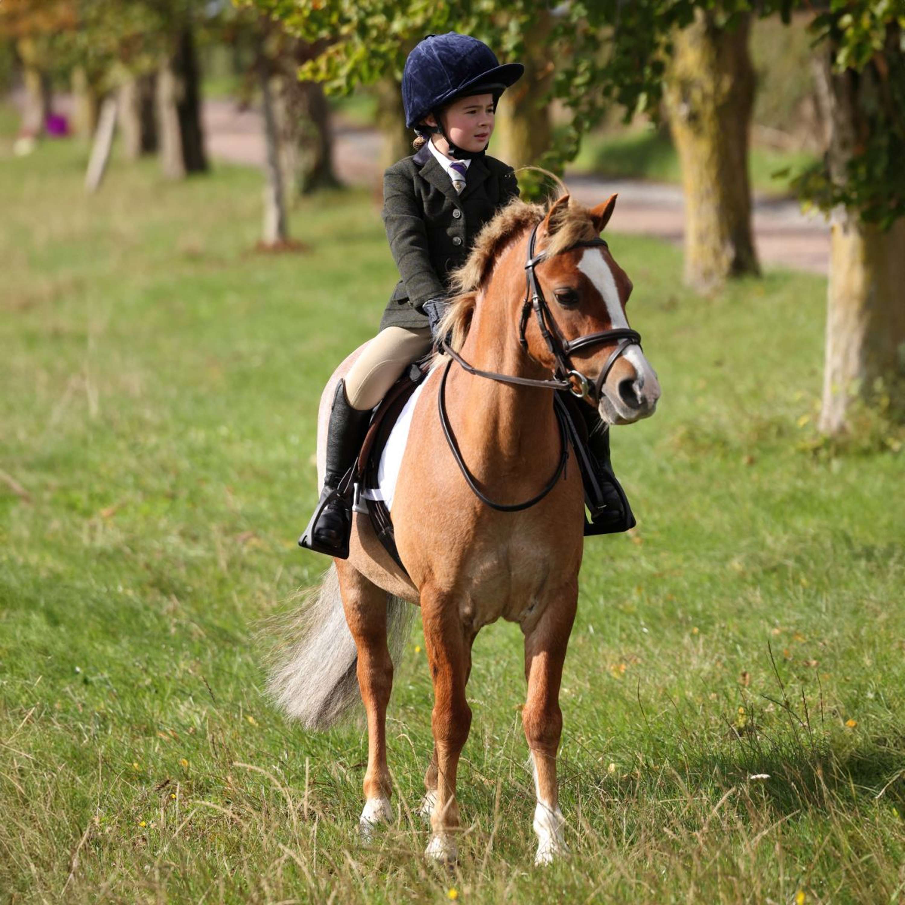 Aubrion by Shires Competition Jacket Saratoga Children Dark Green Check