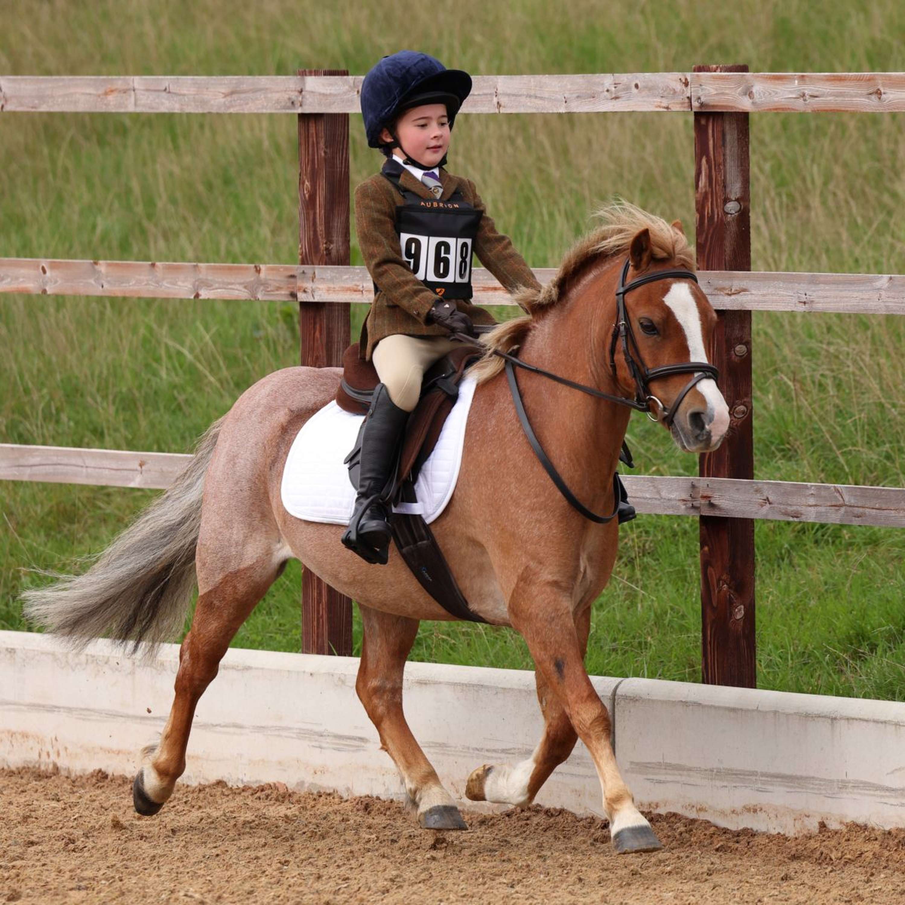 Aubrion by Shires Competition Jacket Saratoga Children Rust Check