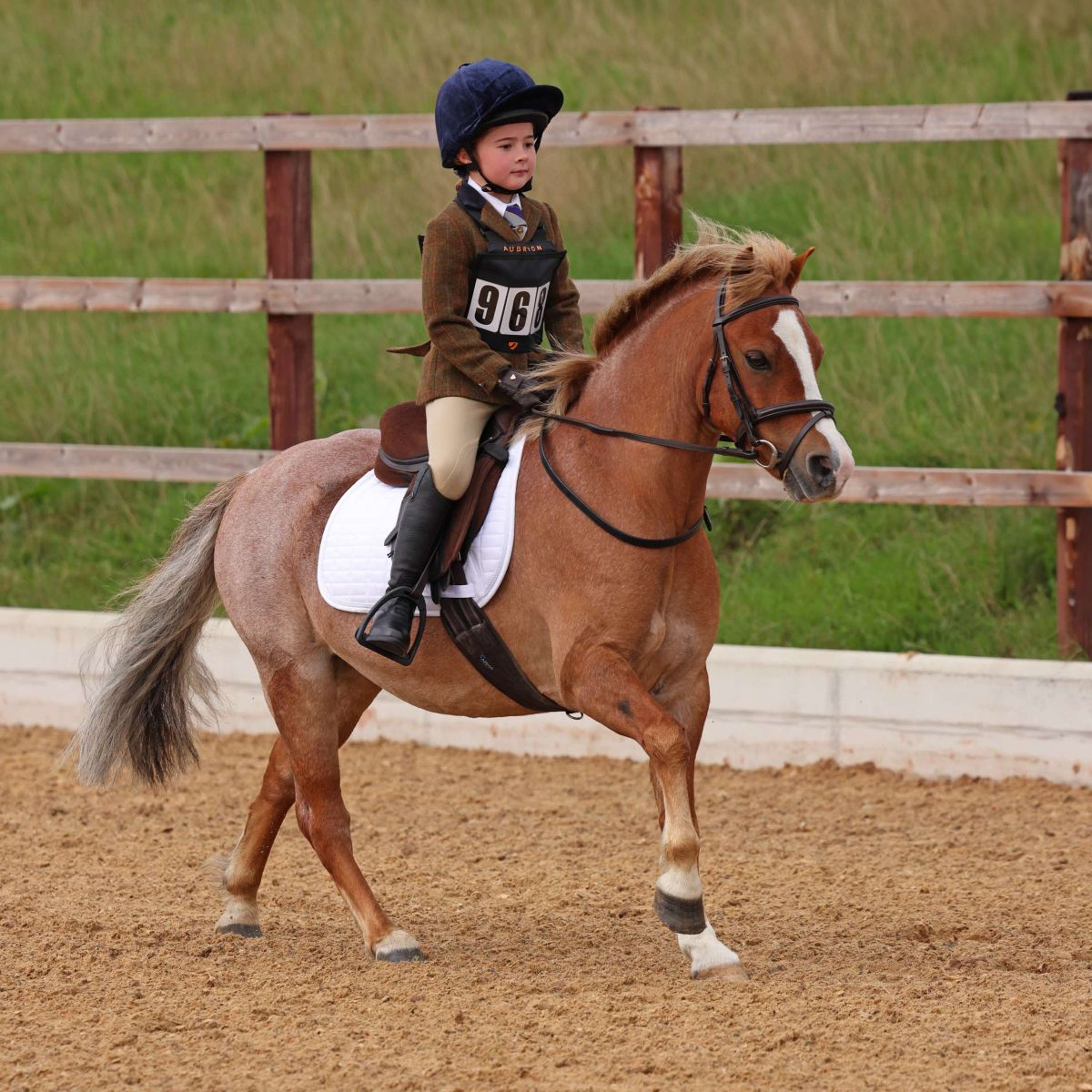 Aubrion by Shires Competition Jacket Saratoga Children Rust Check