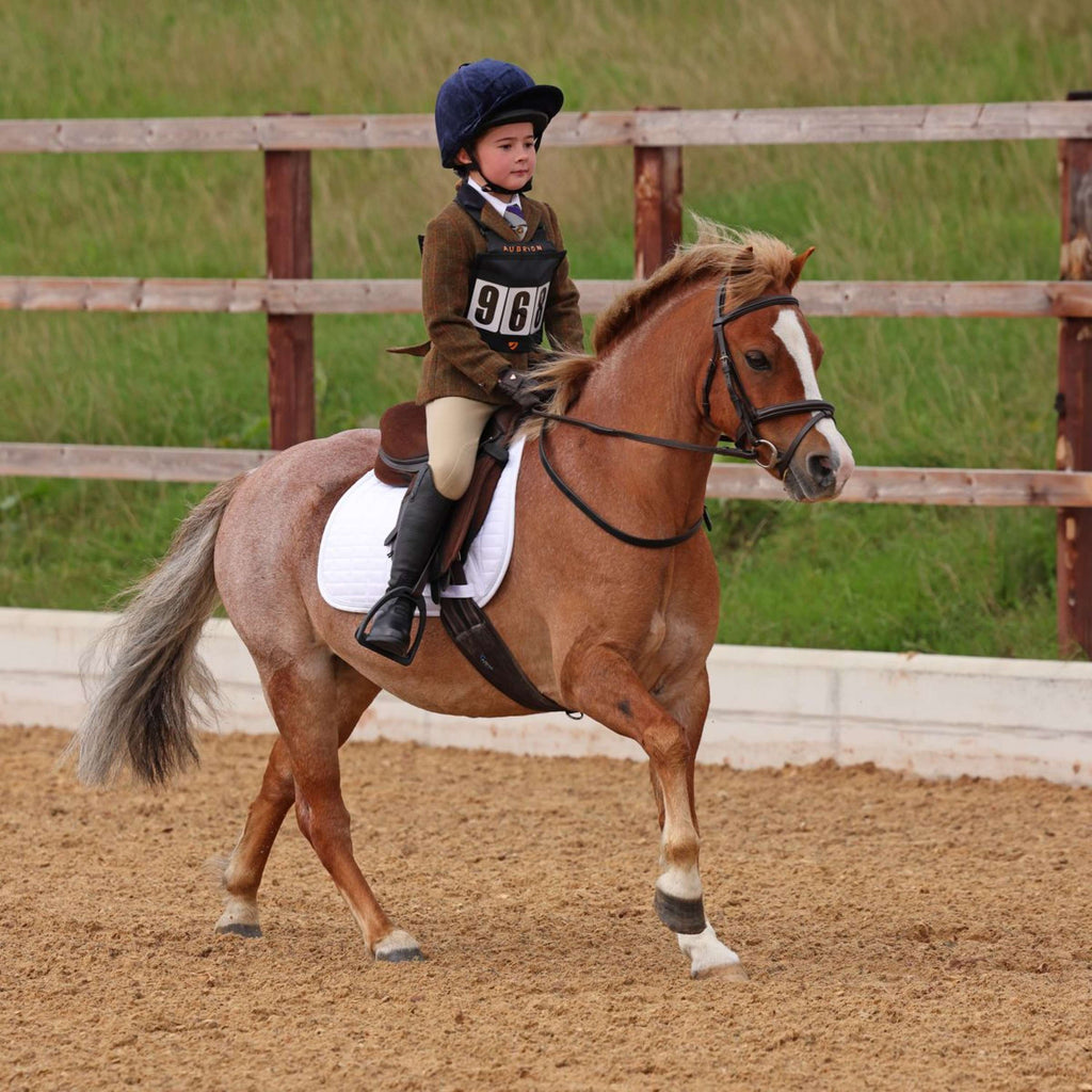 Aubrion by Shires Competition Jacket Saratoga Children Rust Check