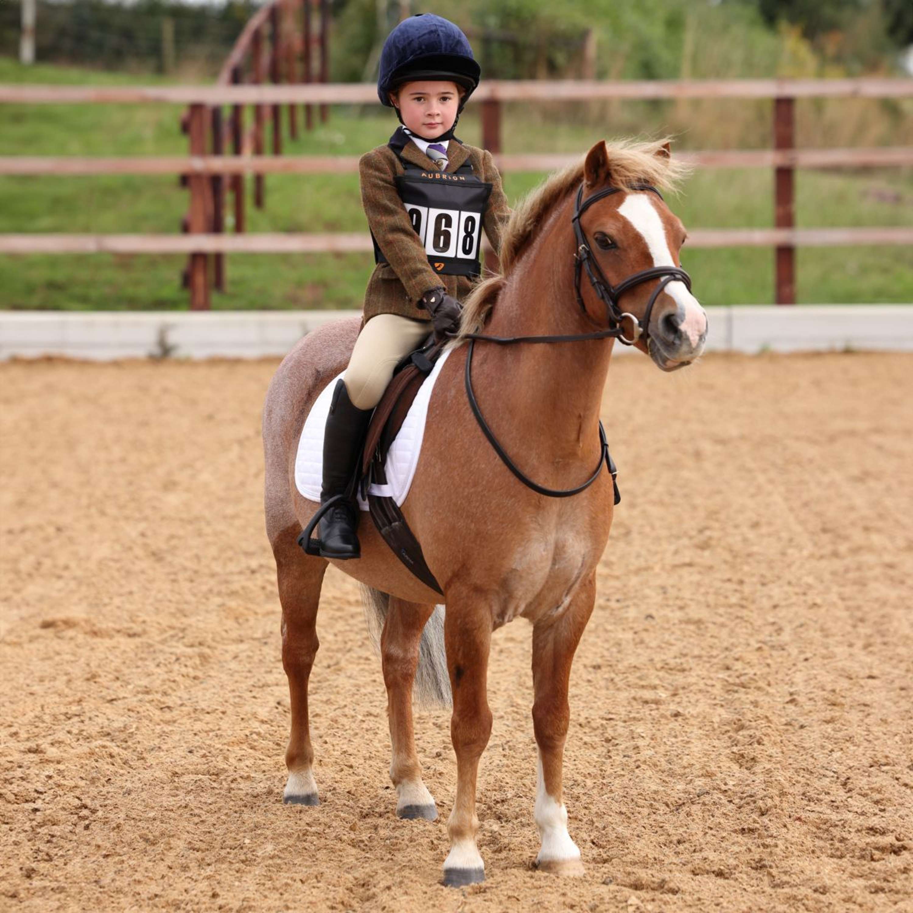 Aubrion by Shires Competition Jacket Saratoga Children Rust Check