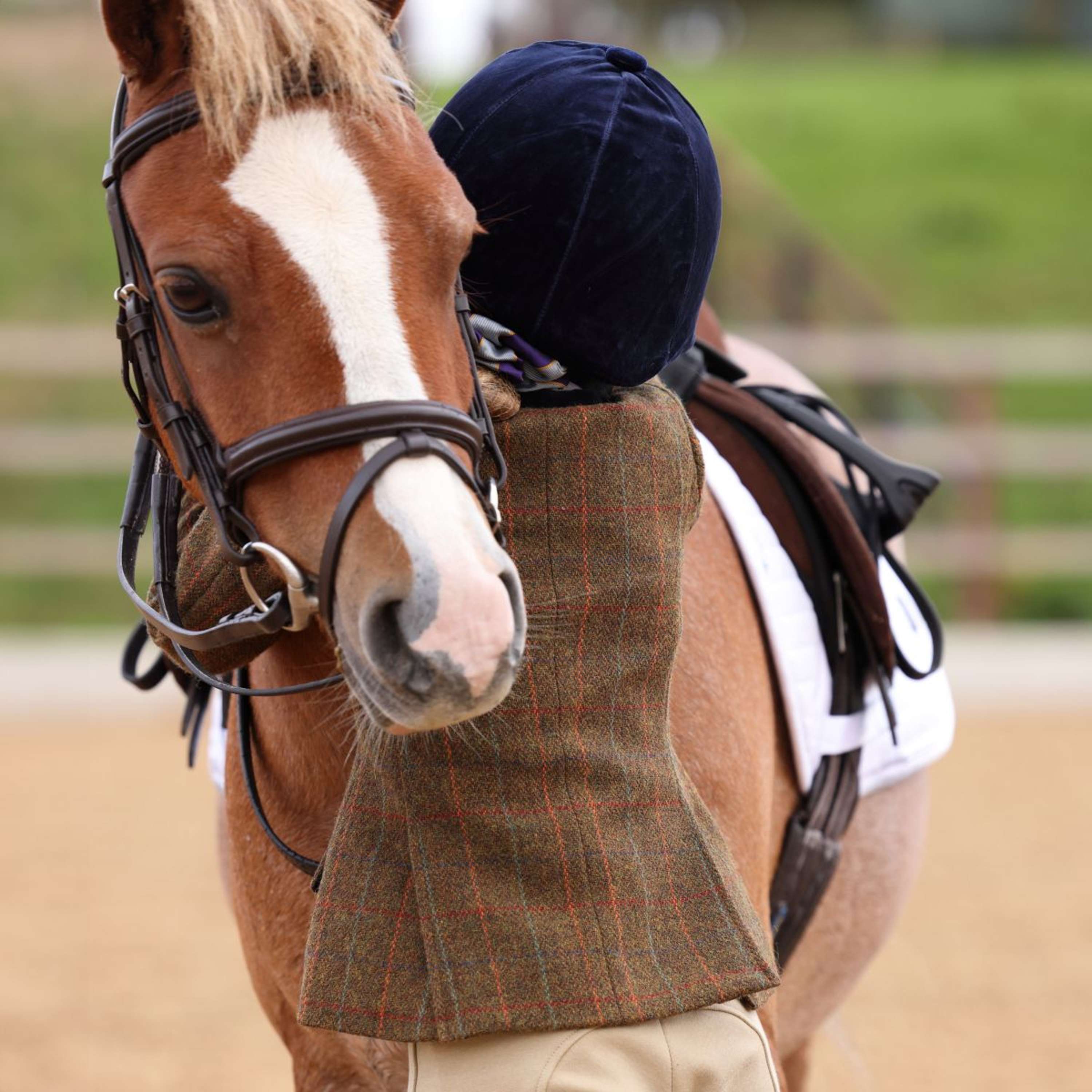 Aubrion by Shires Competition Jacket Saratoga Children Rust Check
