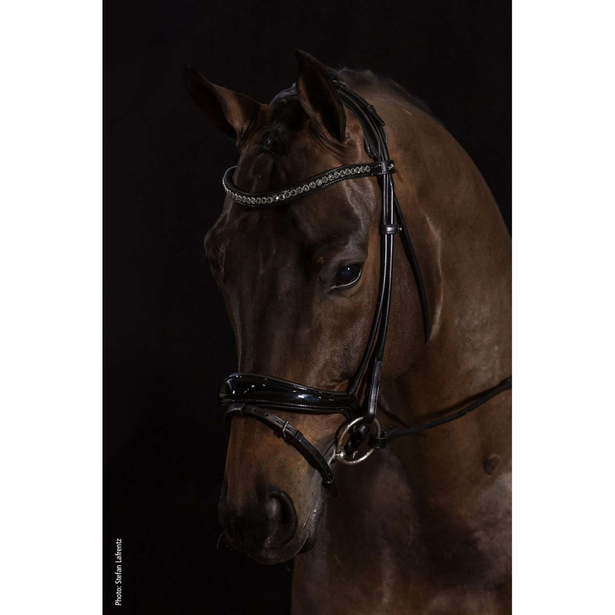 Schockemöhle Bridle Westminster Black/Patent/Silver