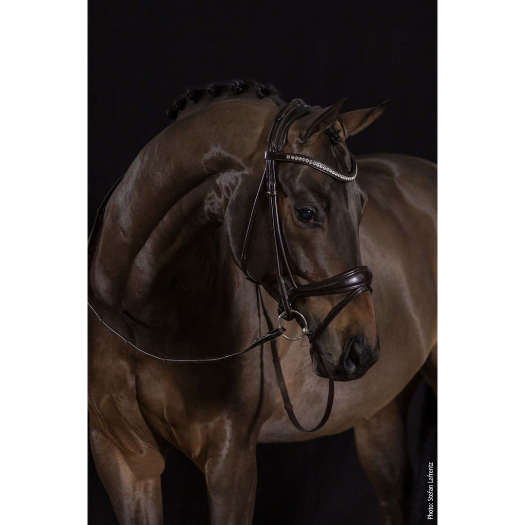 Schockemöhle Bridle Westminster Espresso/Silver