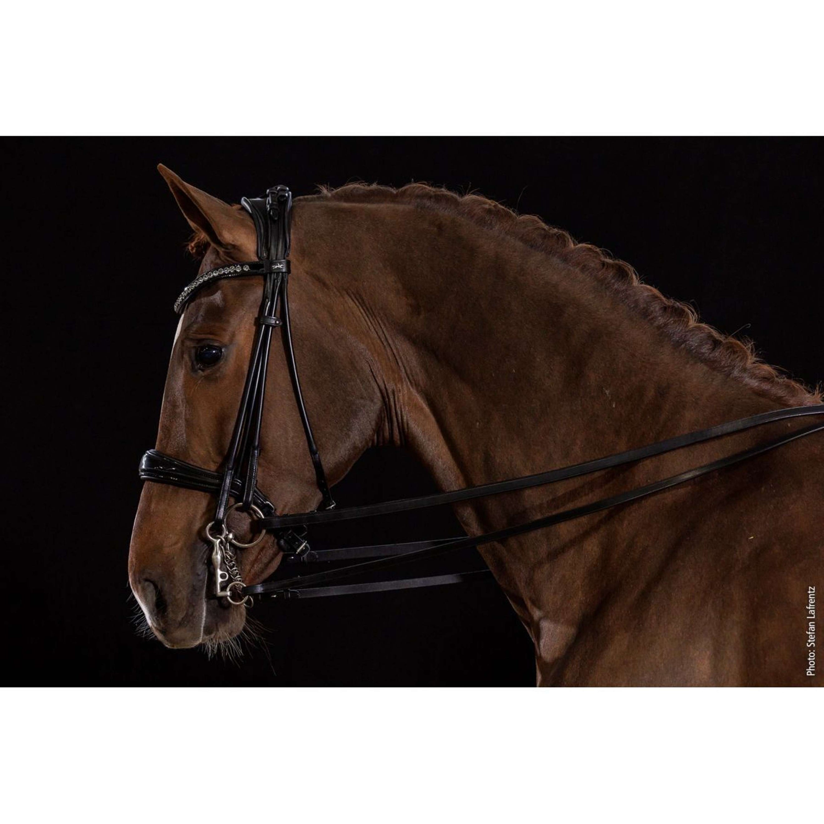 Schockemöhle Double Bridle Kensington Black/Patent/Silver