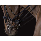 Schockemöhle Double Bridle Kensington Espresso/Silver