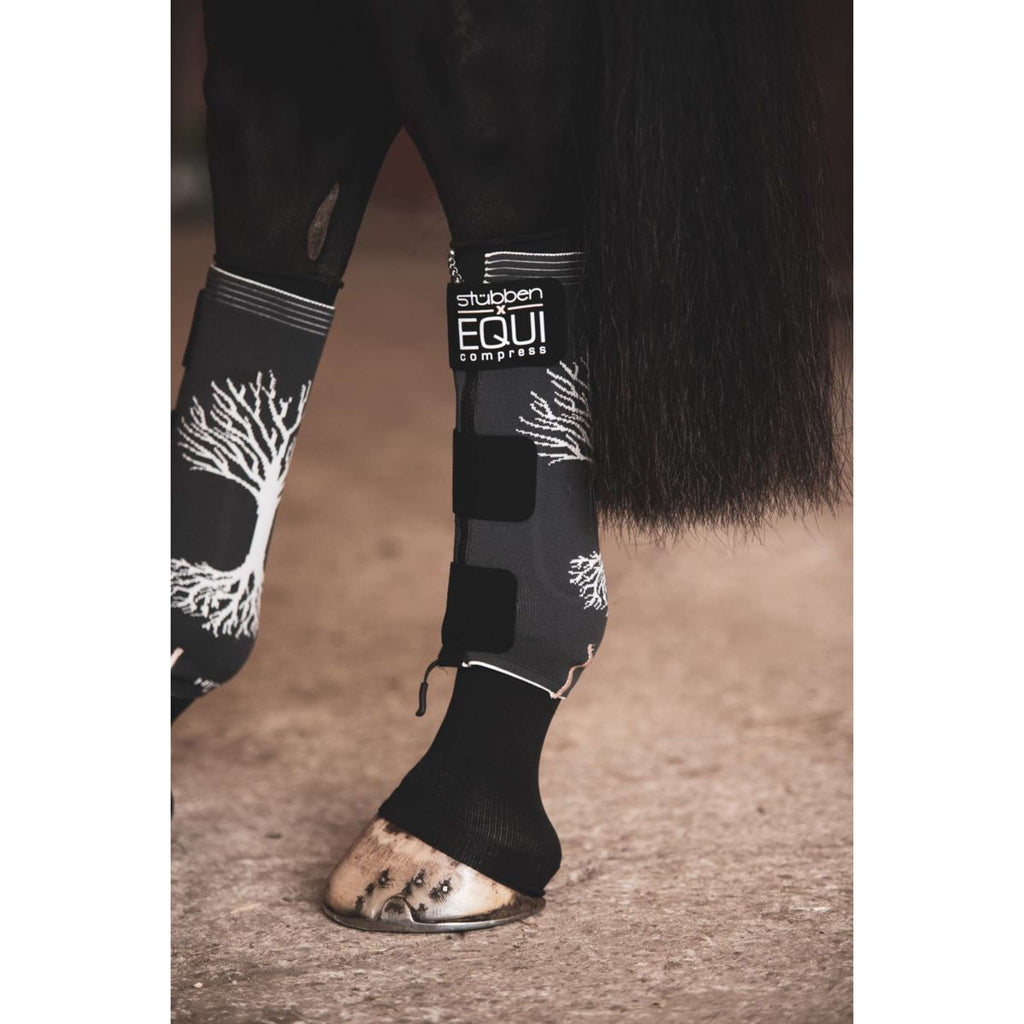 Stübben Equi Compress Set Hind Legs