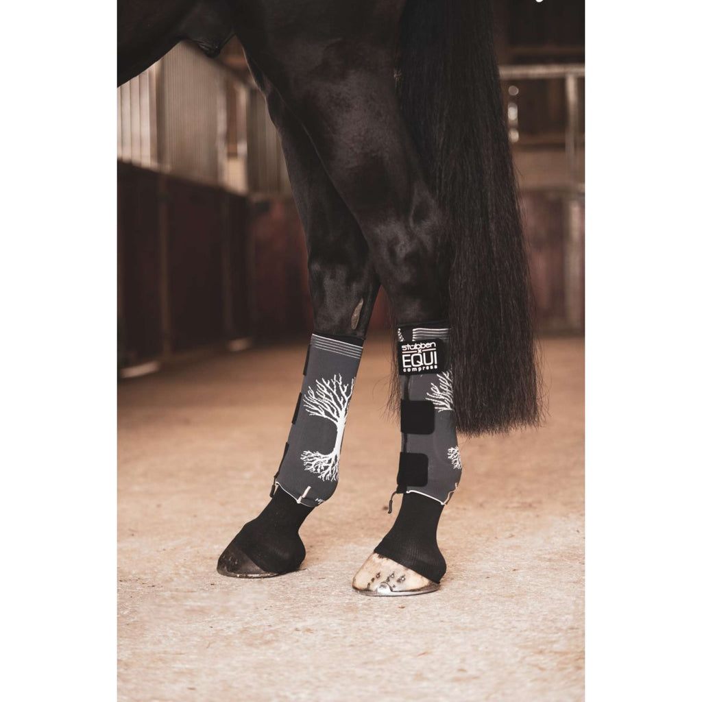 Stübben Equi Compress Set Hind Legs