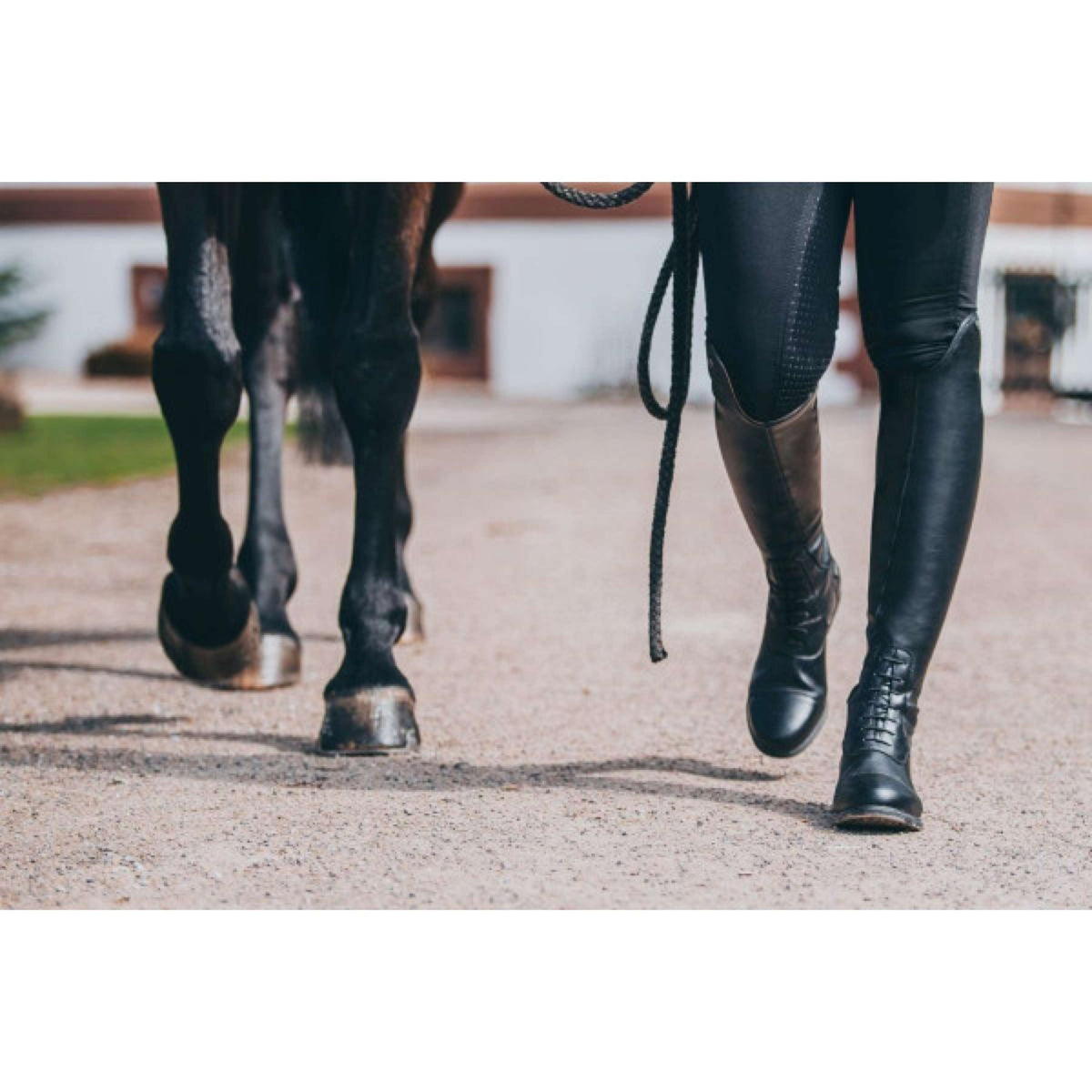 Suedwind Riding Boots Nova Tall Vegan Black