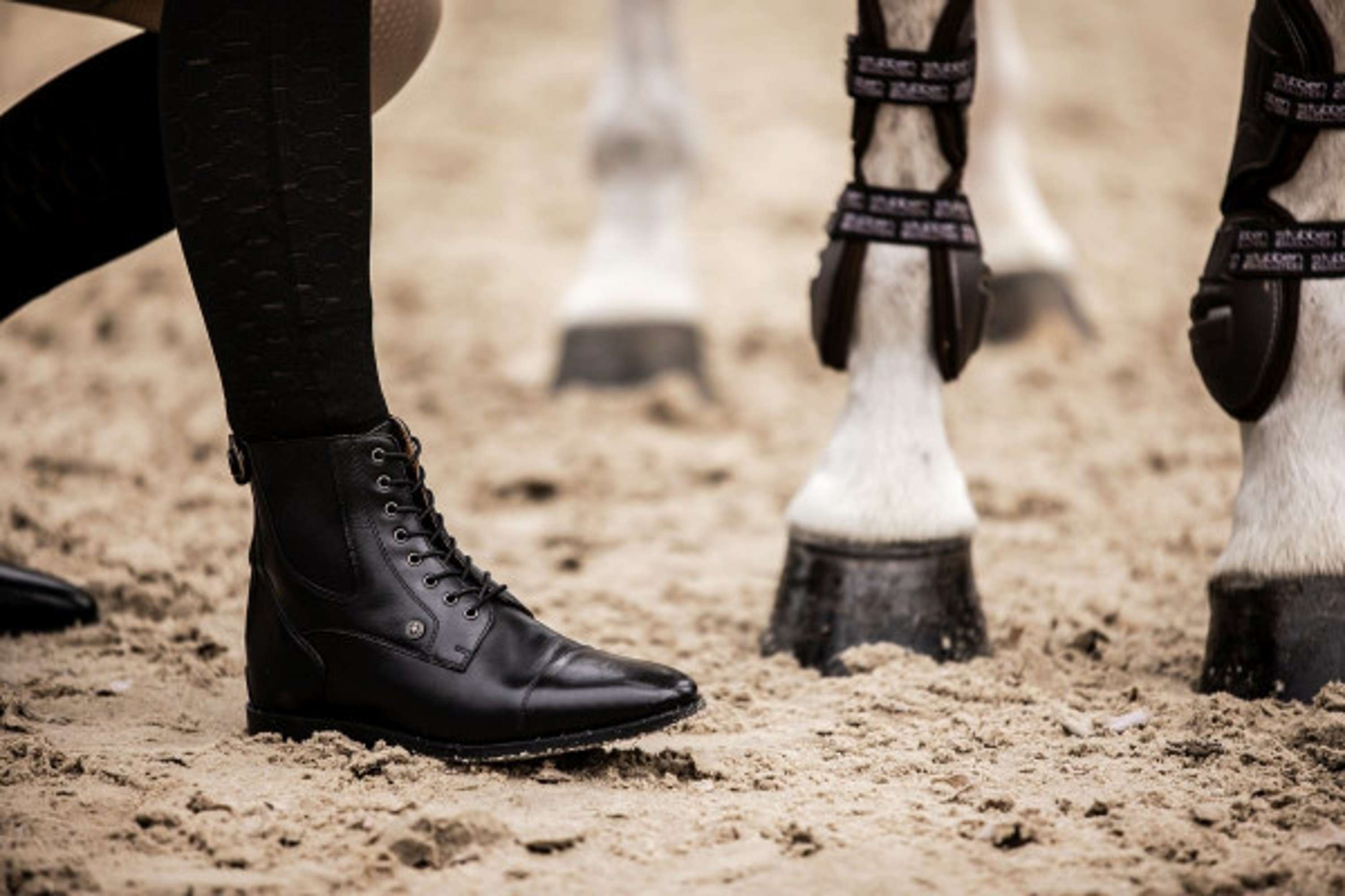 Suedwind Jodhpurs Florentina BZ with Laces Black