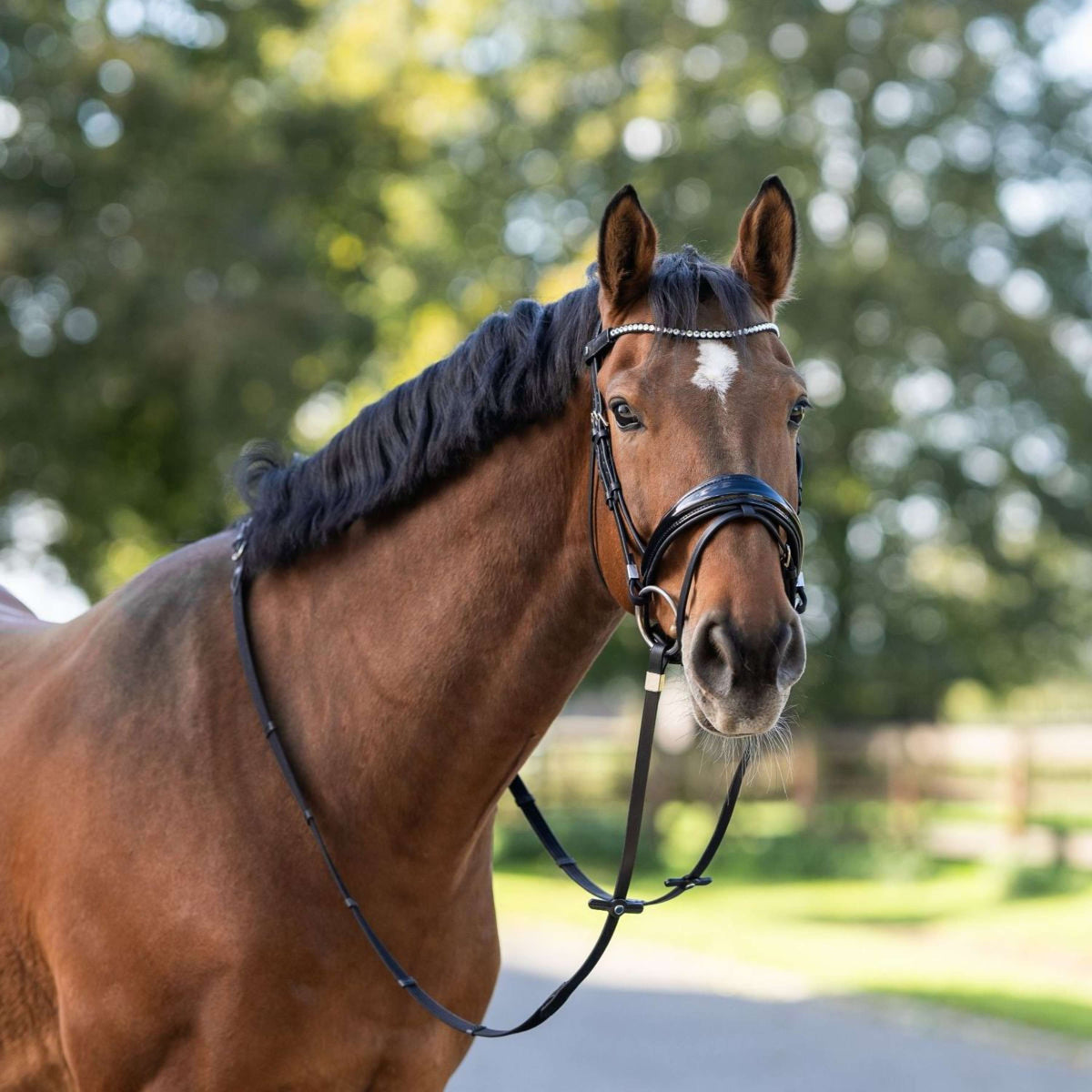 Stübben Bridle Switch Magic Tack met Slide&Lock Black