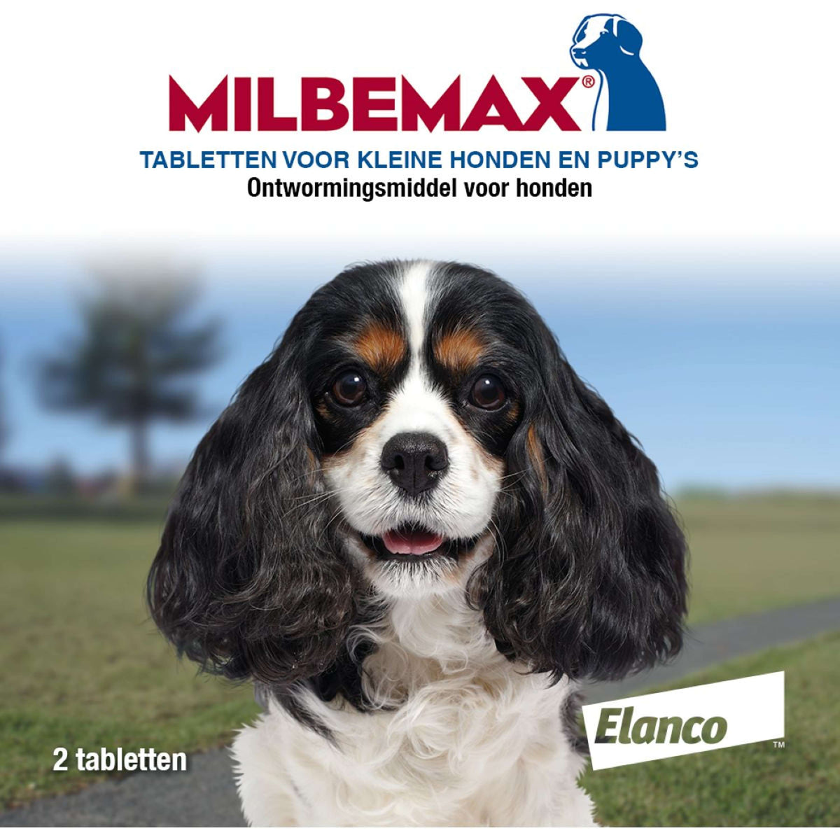 Milbemax Deworming Tablet Puppy/Small