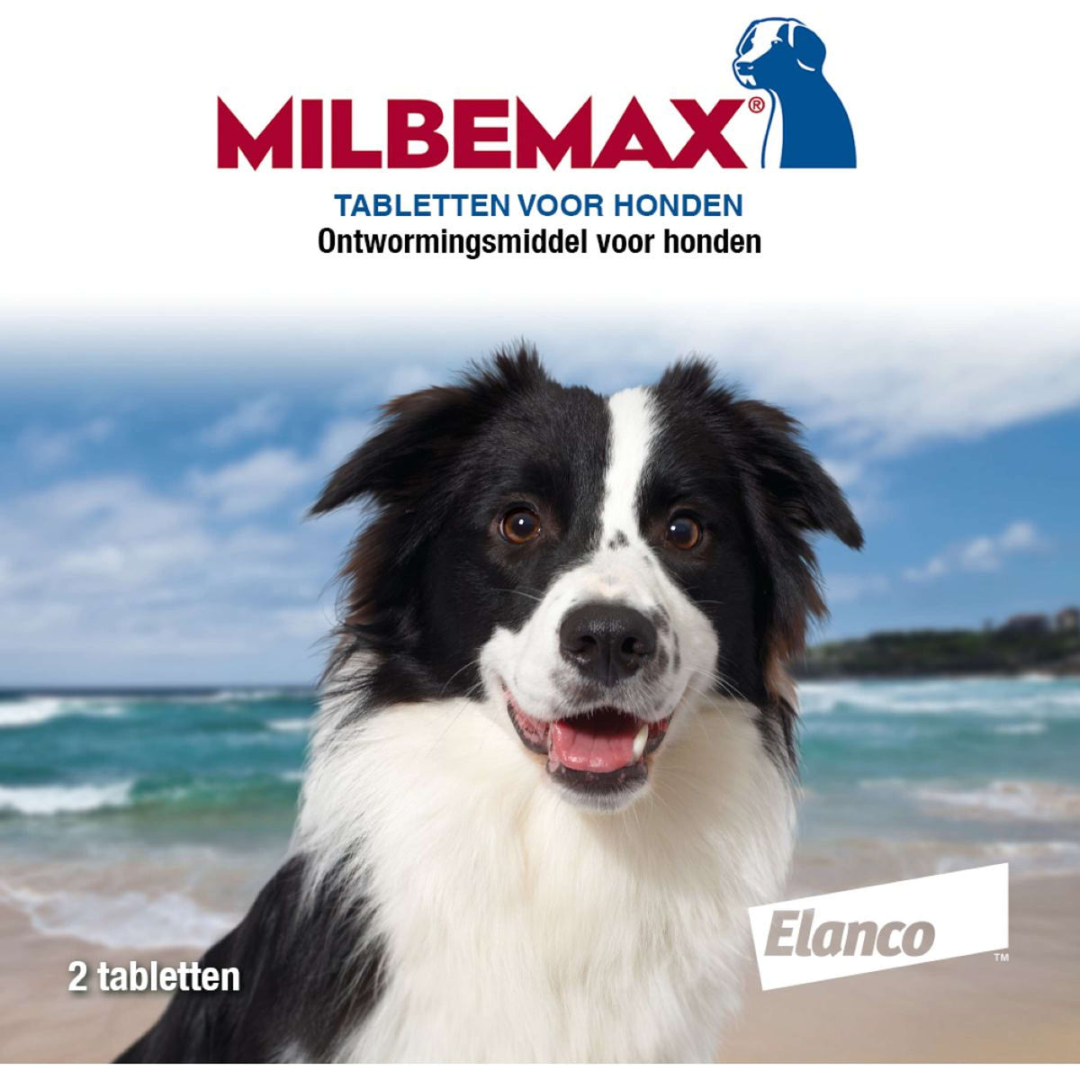 Milbemax Deworming Tablet Dog Big