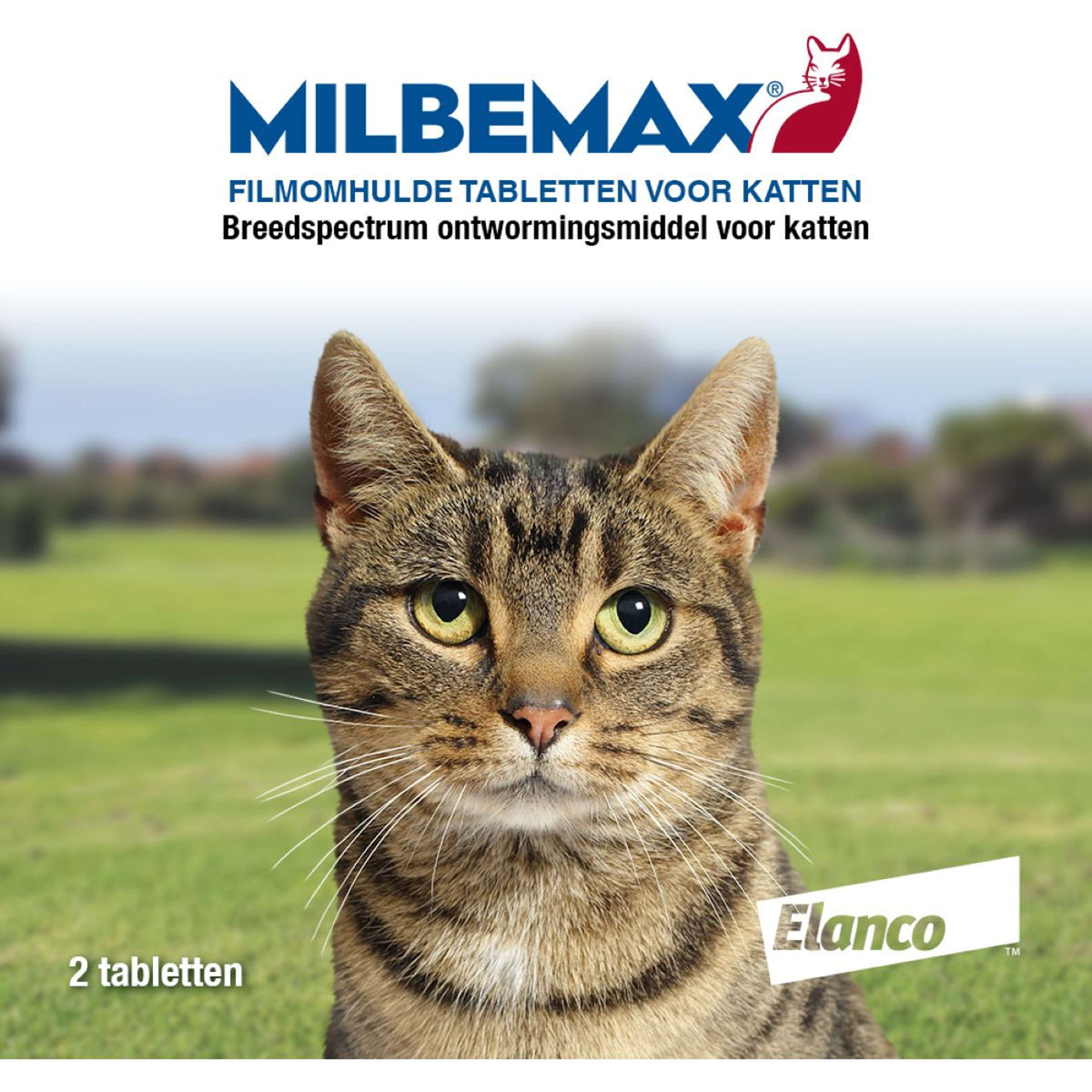 Milbemax Deworming Tablet Cat Big