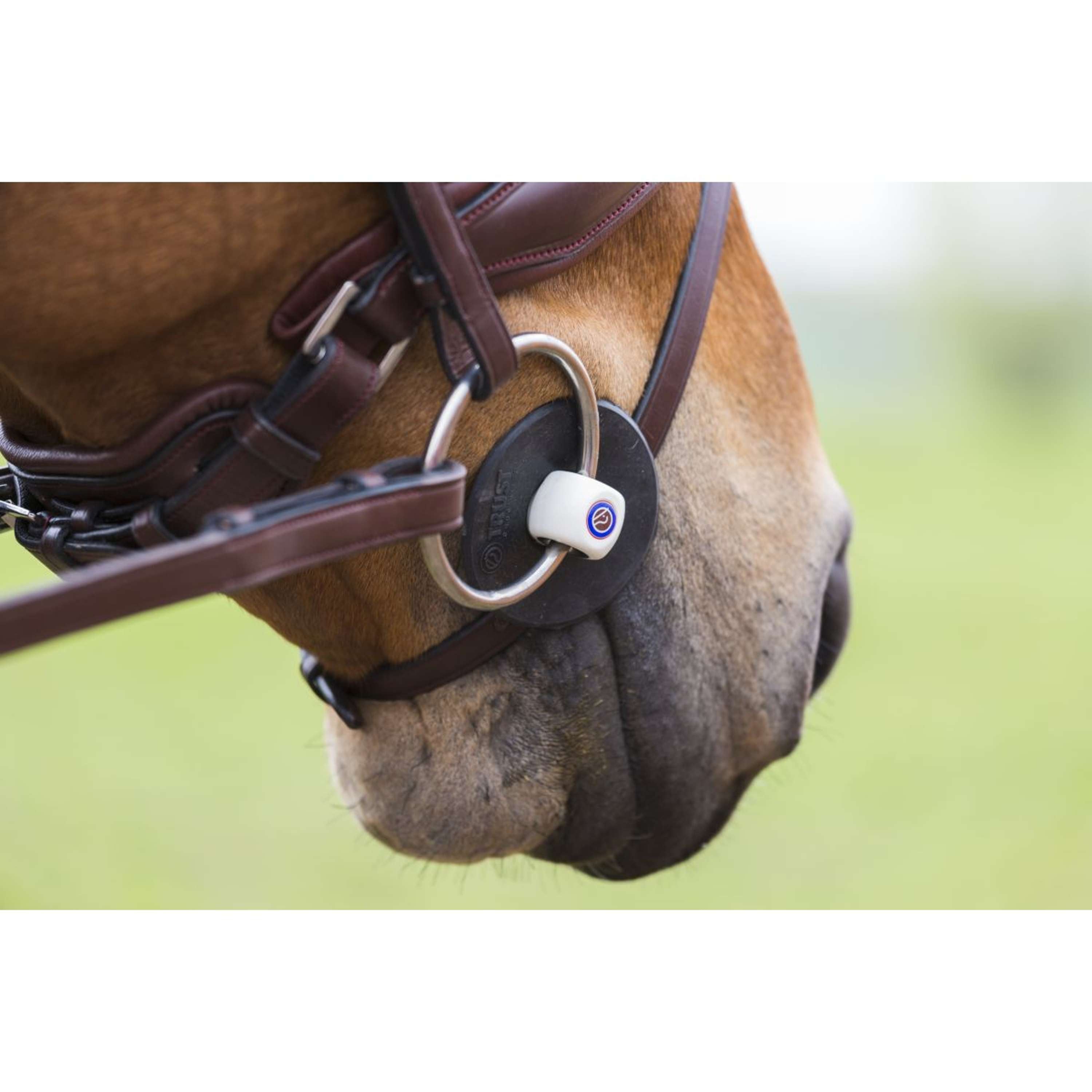 Trust Loose Ring Snaffle Inno Sense Port Medium Slim 14mm