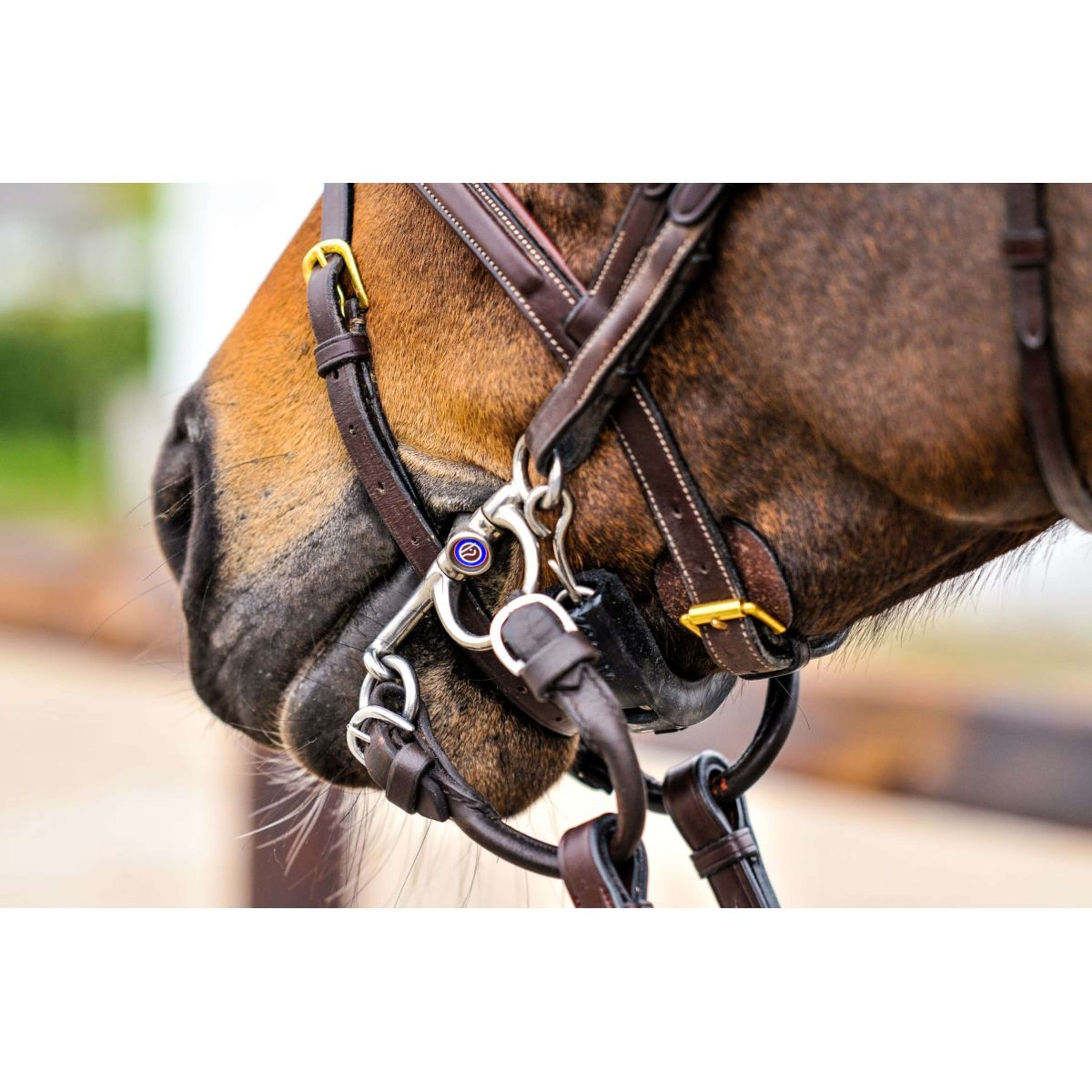 Trust Pelham Sweet Iron Jointed 16mm Trust Pelham Sweet Iron Jointed 16mm