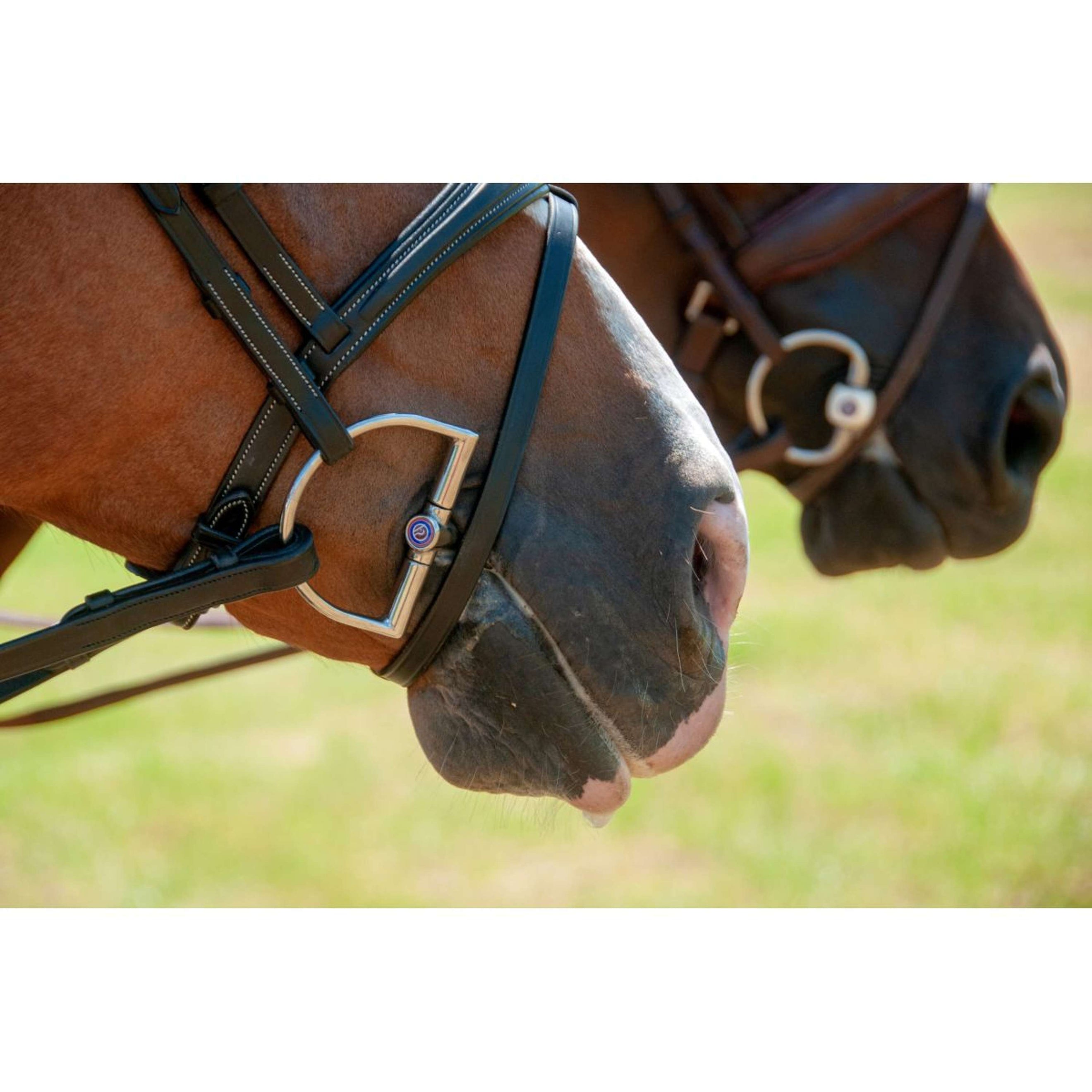 Trust D-Ring Bit Inno Sense Flexi Soft 15mm Trust D-Ring Bit Inno Sense Flexi Soft 15mm