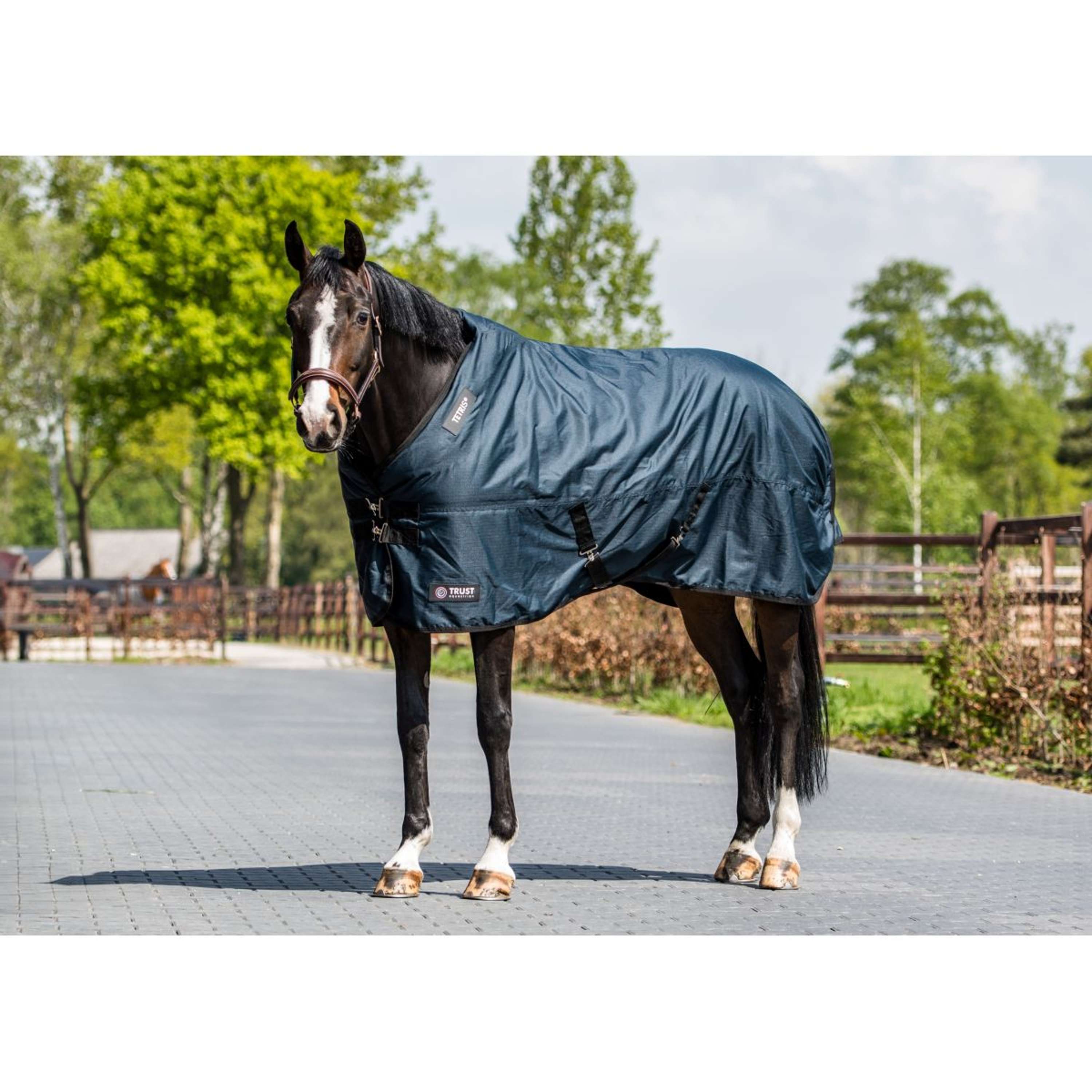 Trust Outdoor Rug Tetris 300g Navy