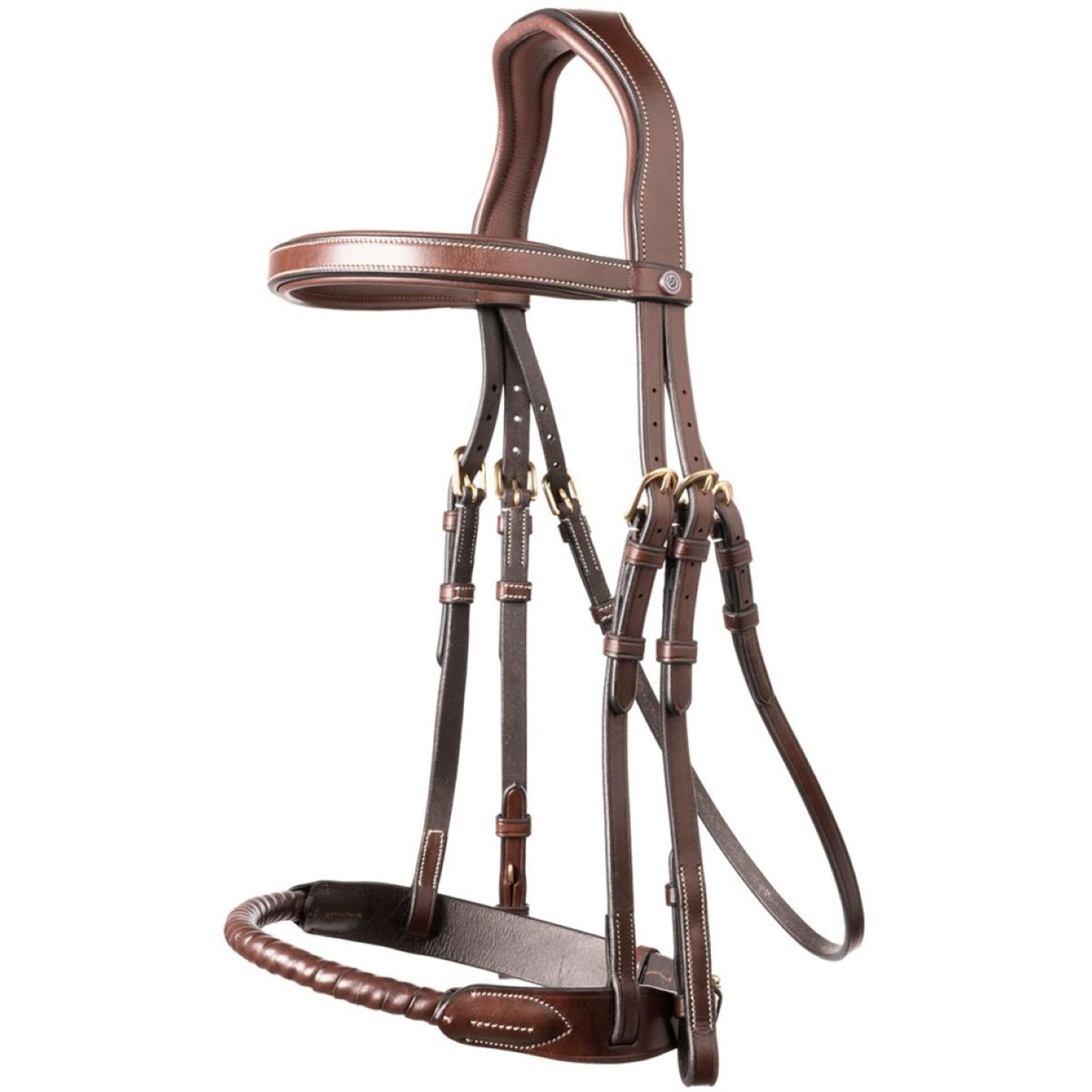 Trust Bridle Dublin brown/gold