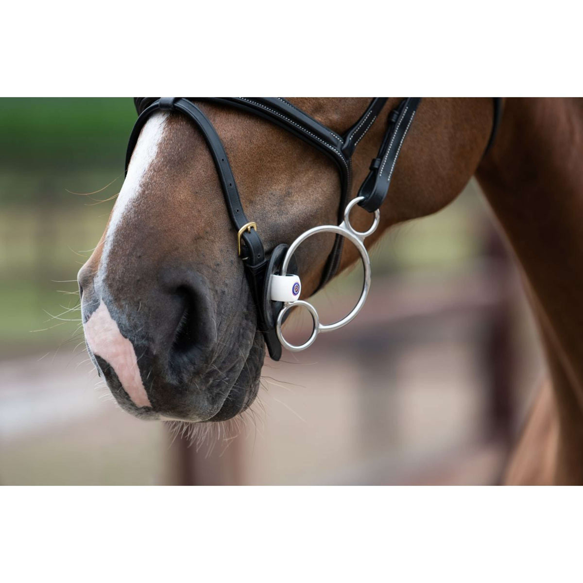 Trust Pessoa Loose Ring Snaffle Inno Sense 2,5 Ring Flexi Soft 14mm