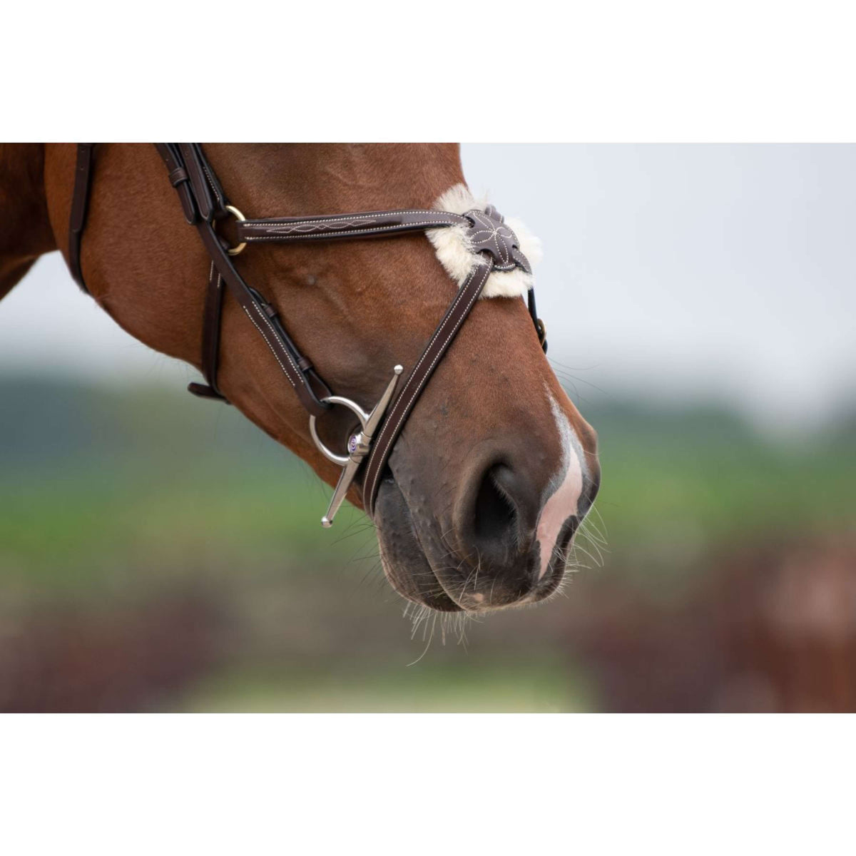 Trust Full Cheek Snaffle Sweet Iron Cherry Roller 16mm