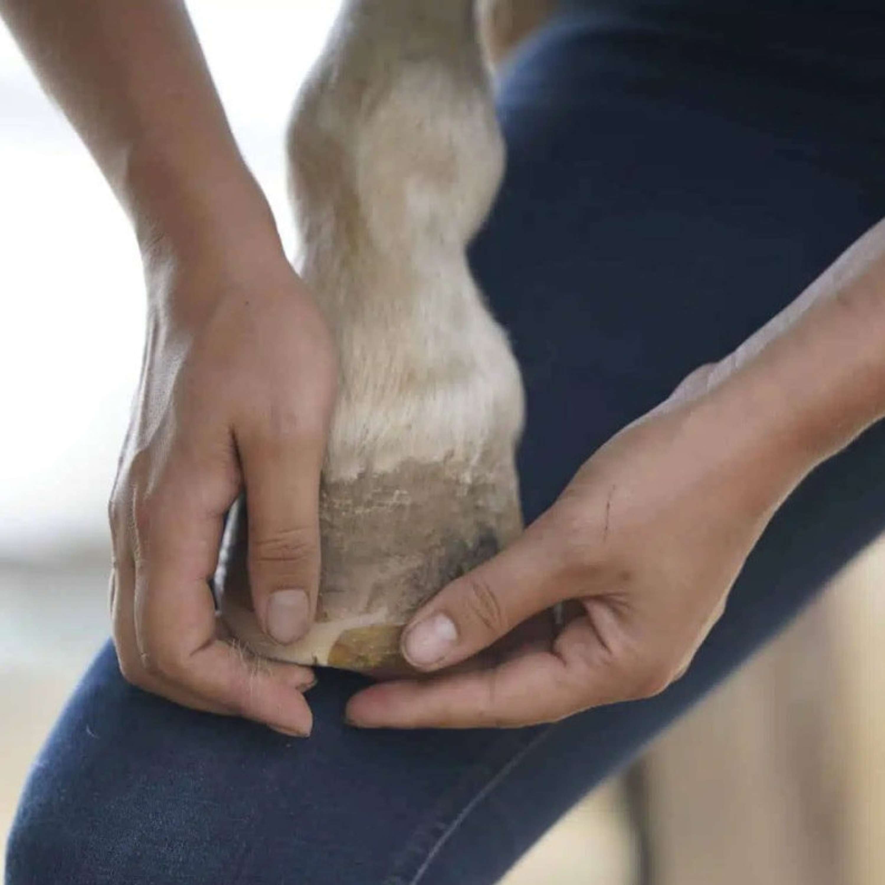 Unique-horn Hoof Wax Repair Yellow