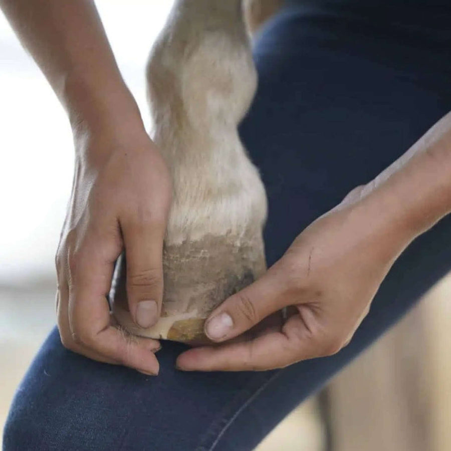 Unique-horn Hoof Wax Repair Yellow