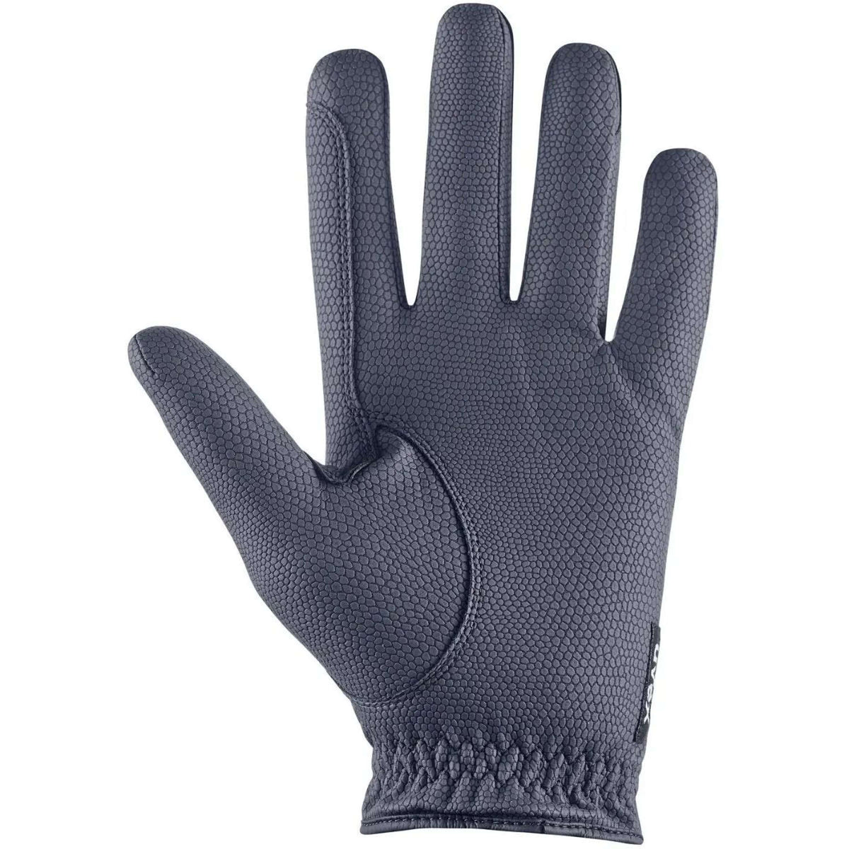 Uvex Glove Sportstyle Winter Blue