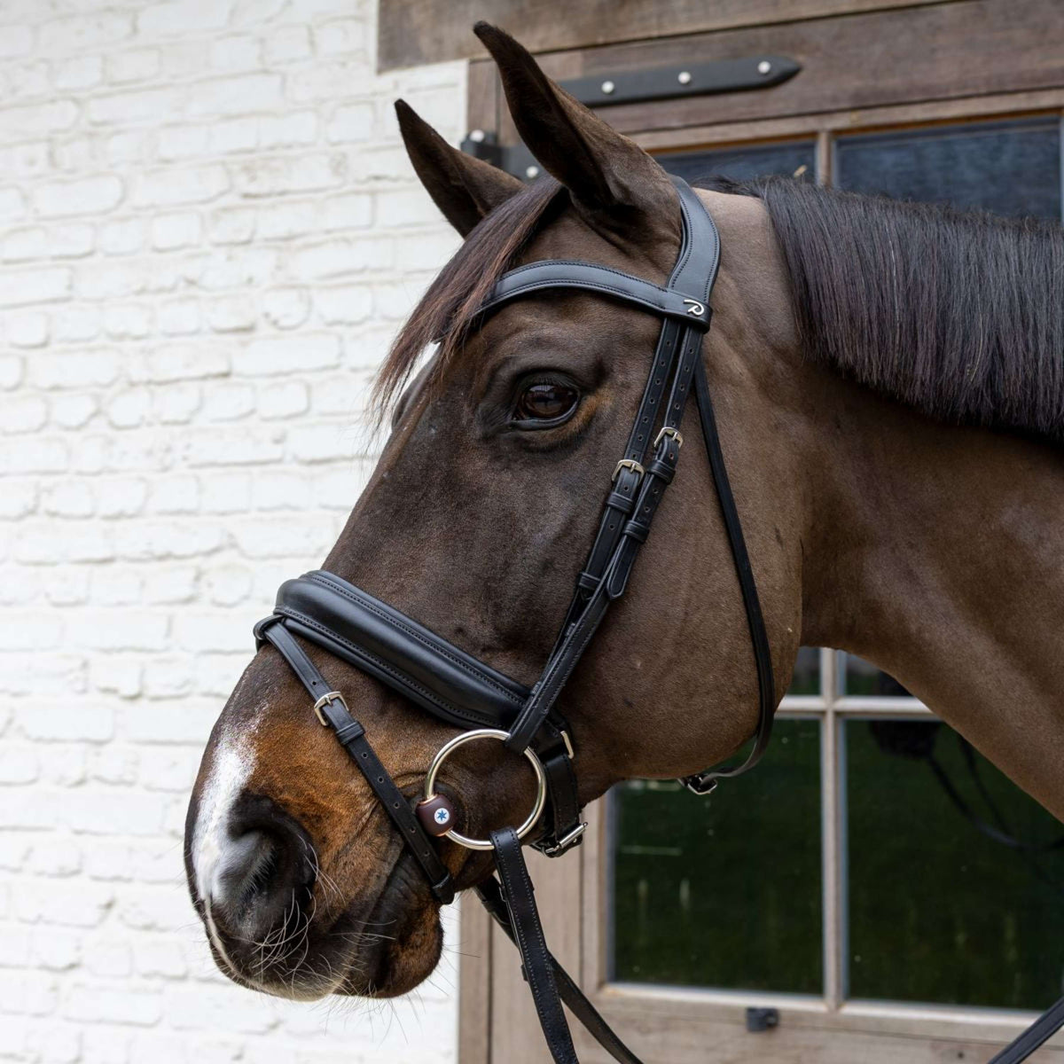 Velari Loose Ring Snaffle Flex Hard 20mm